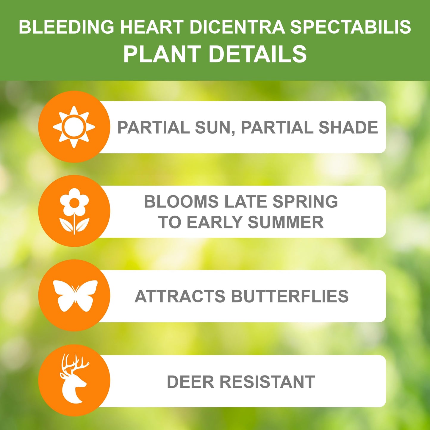 Garden State Bulb Bleeding Heart Dicentra Spectabilis, Bare Roots, Spring Planting (Bag of 6)