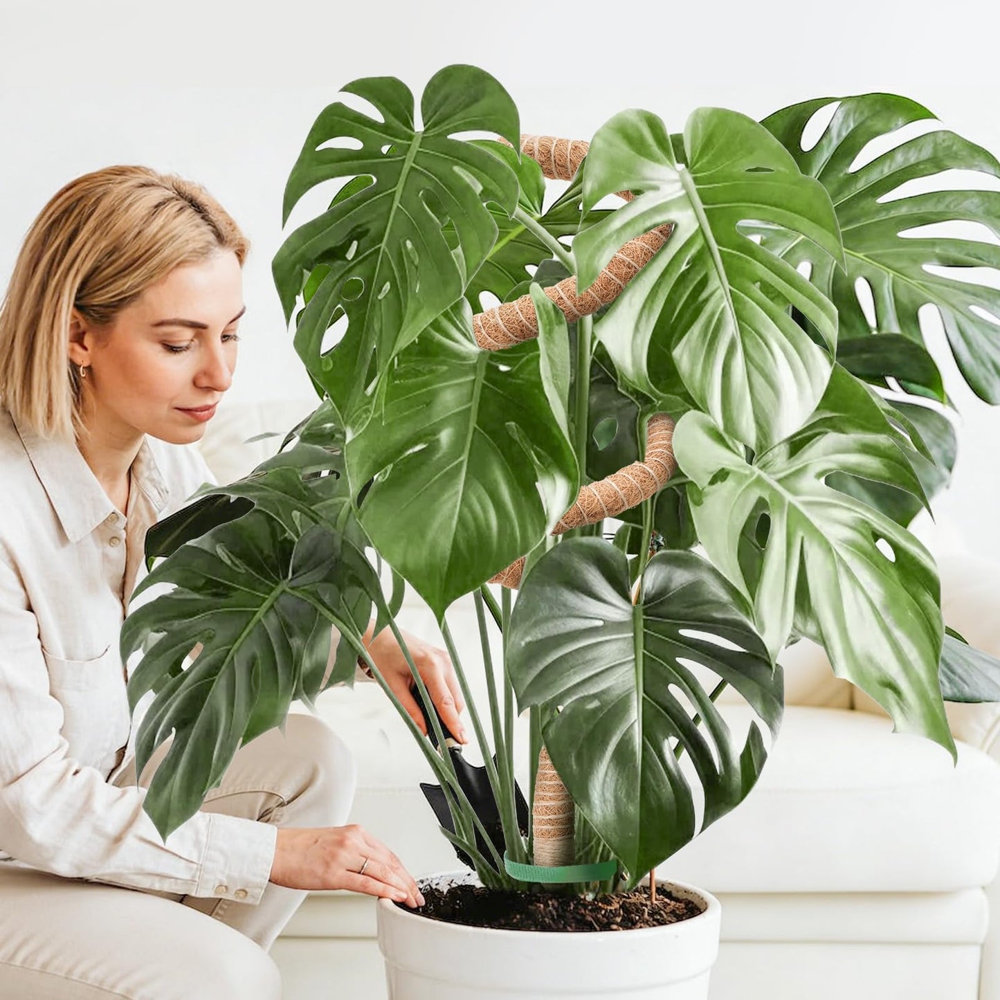 2 Pack Moss Pole Monstera Plant Support 63 Inch Bendable Monstera Support for Climbing Plants Extra Large Handmade Moss Poles Aluminum Plant Support Stakes Indoor Grow Upwards