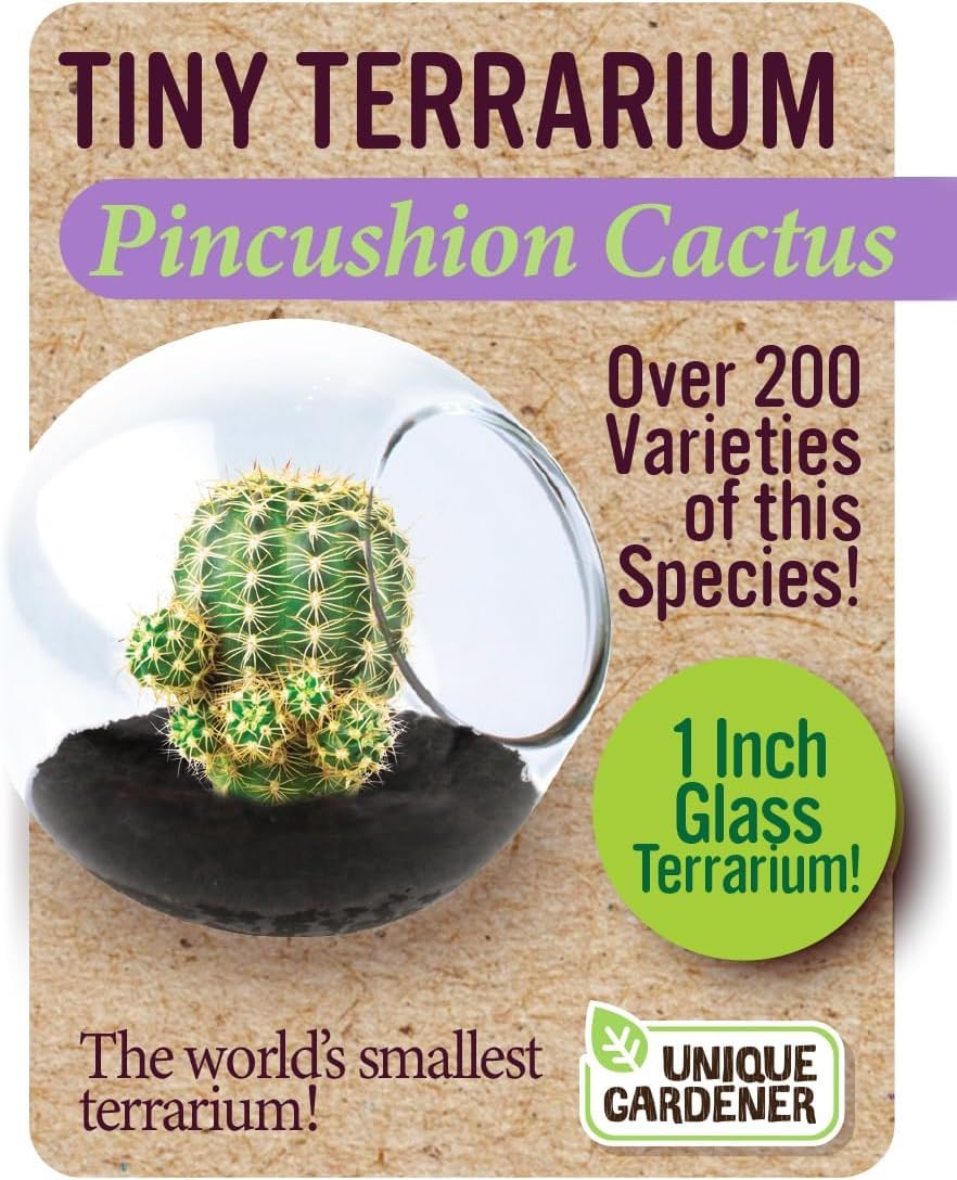 Unique Gardener Tiny Terrarium Plant Seeds 6 Variety Cacti Pack, DIY Indoor Succulents and Live Plants for Home or Garden Planting, Assorted Cacti Pack
