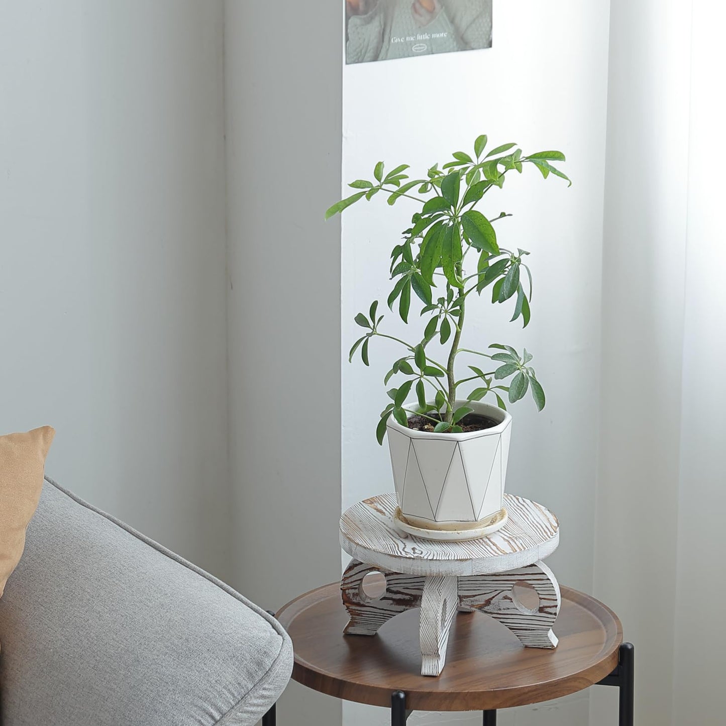 VZODESR White Wooden Plant Stands Indoor Riser Round Display Stands Farmhouse Display Stool Flower Holder Pedestal Board Pine