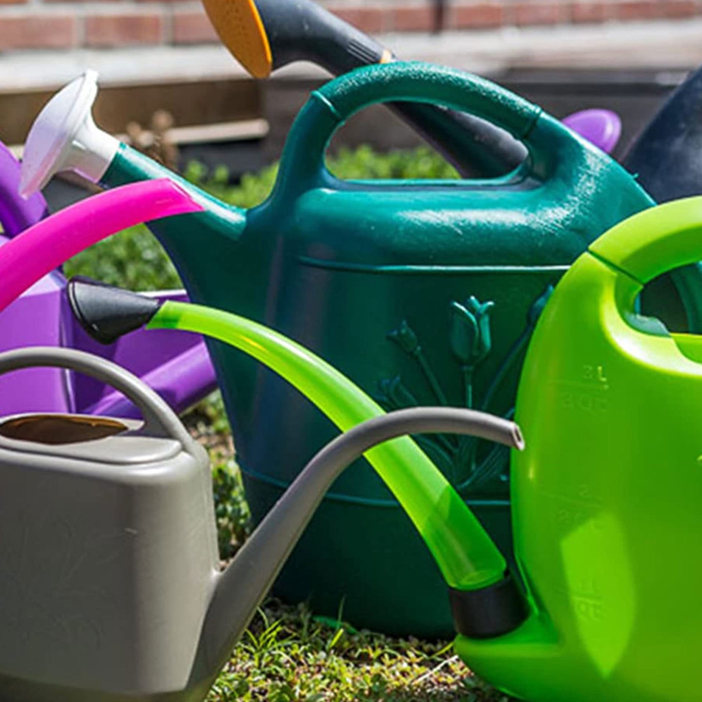 2 Gallon Watering Can - Hunter Green (Pkg/3, Hunter Green)