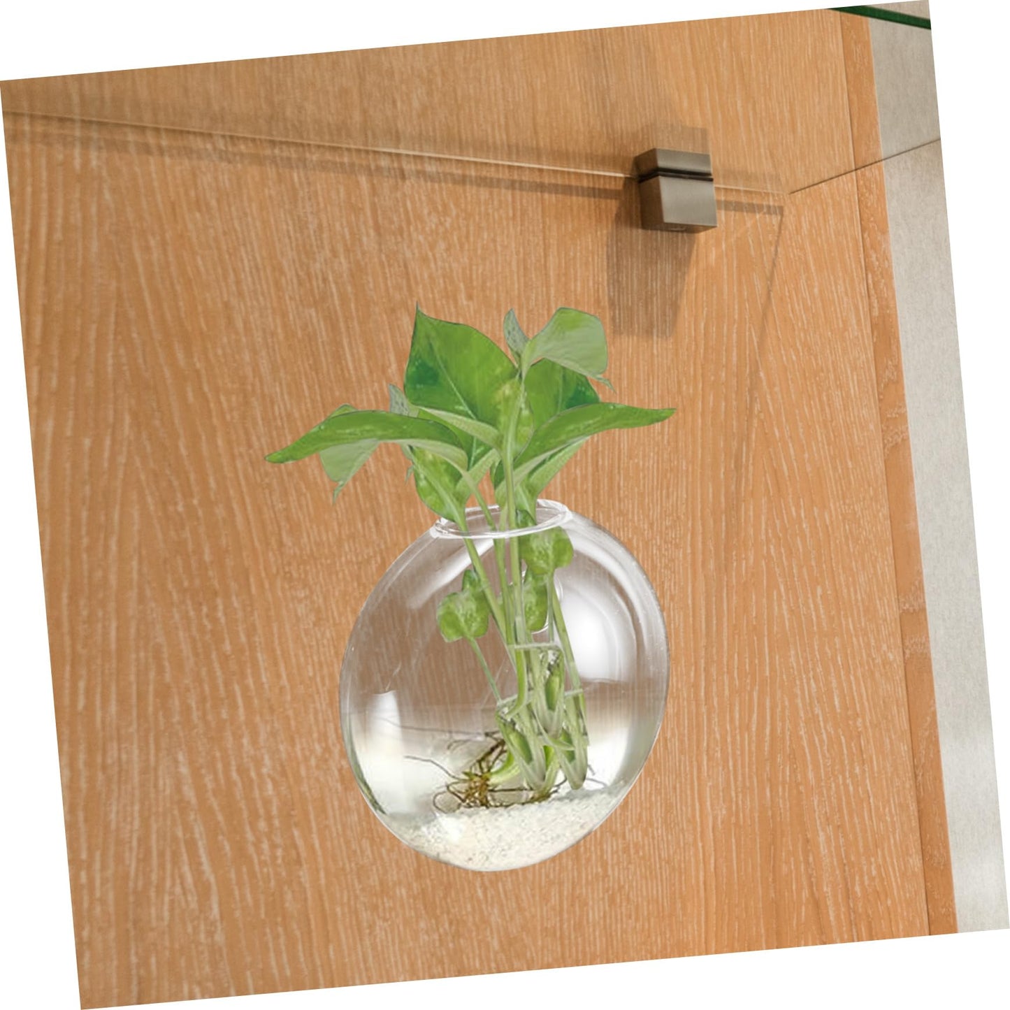 OUNONA Wall Hanging Hydroponic Glass Terrarium Planter Transparent Wall Flower Vase Space Saving Decorative Bottle for Small Apartments and Indoor Plants