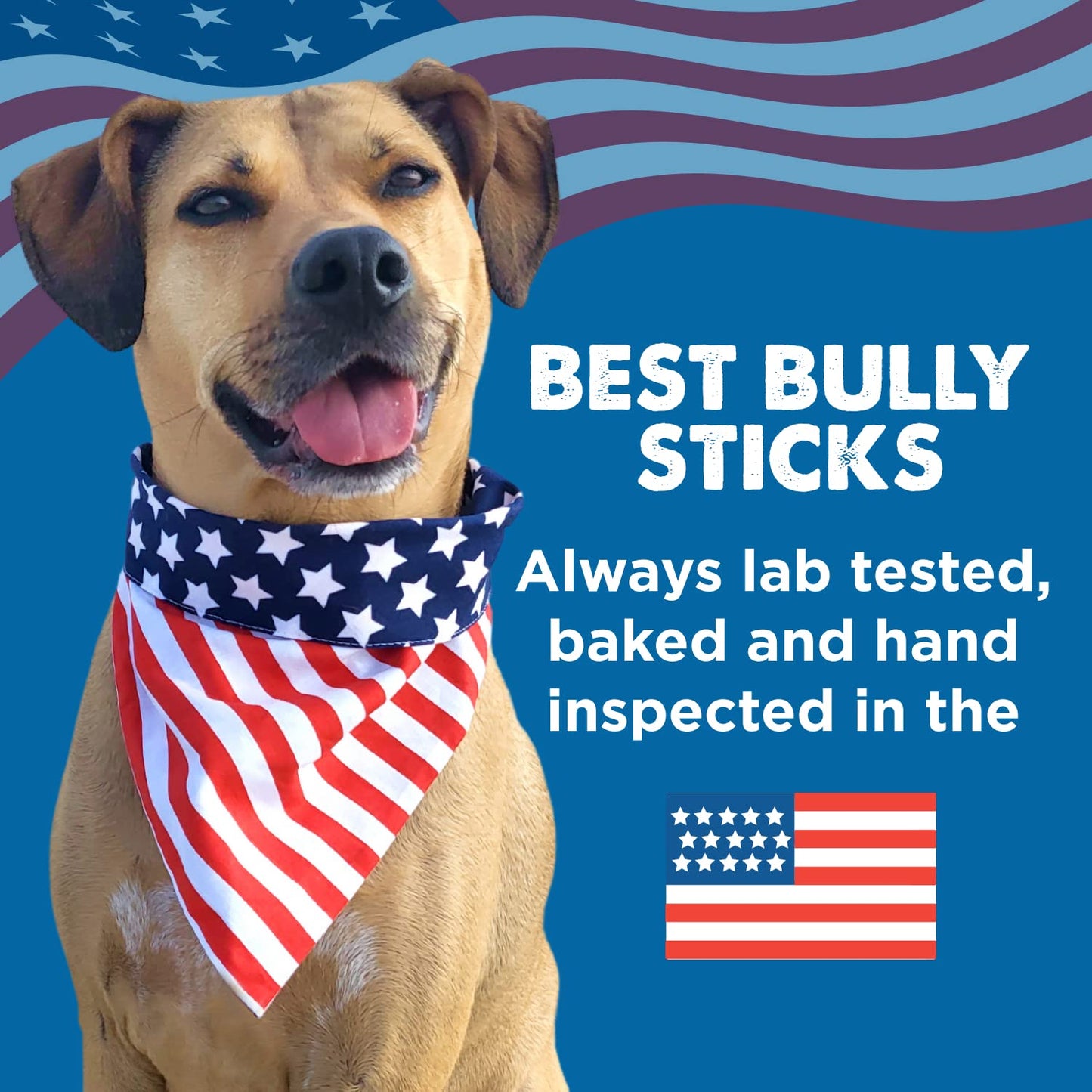 Best Bully Sticks Puppy Teething Rings - Single Ingredient Natural Collagen Puppy Chews for Teething - Bones for Small Dogs - Enrichment, Mental Stimulation, 3 Count