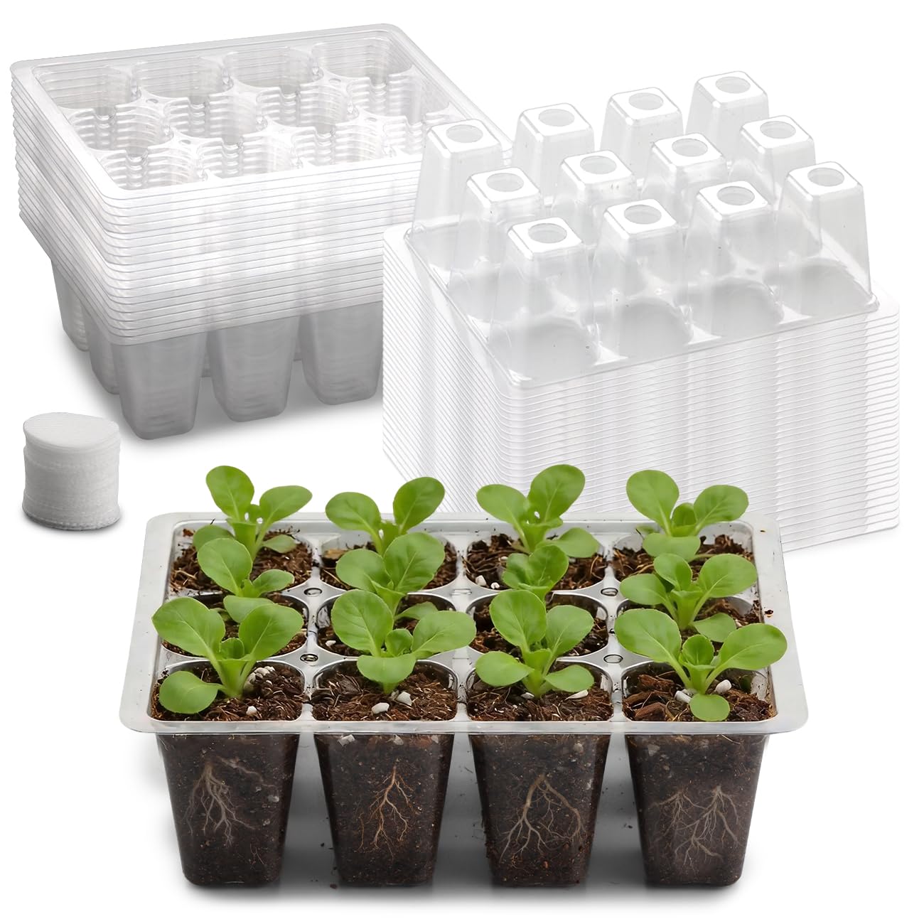RooTrimmer 60 Pack Reusable 12-Cell Clear Seed Starter Trays - Extra Large Drainage Holes, Easy to Repotted, Clear Transparent Tray for Root Observation, Seed Starting, Fits Standard 1020 Trays