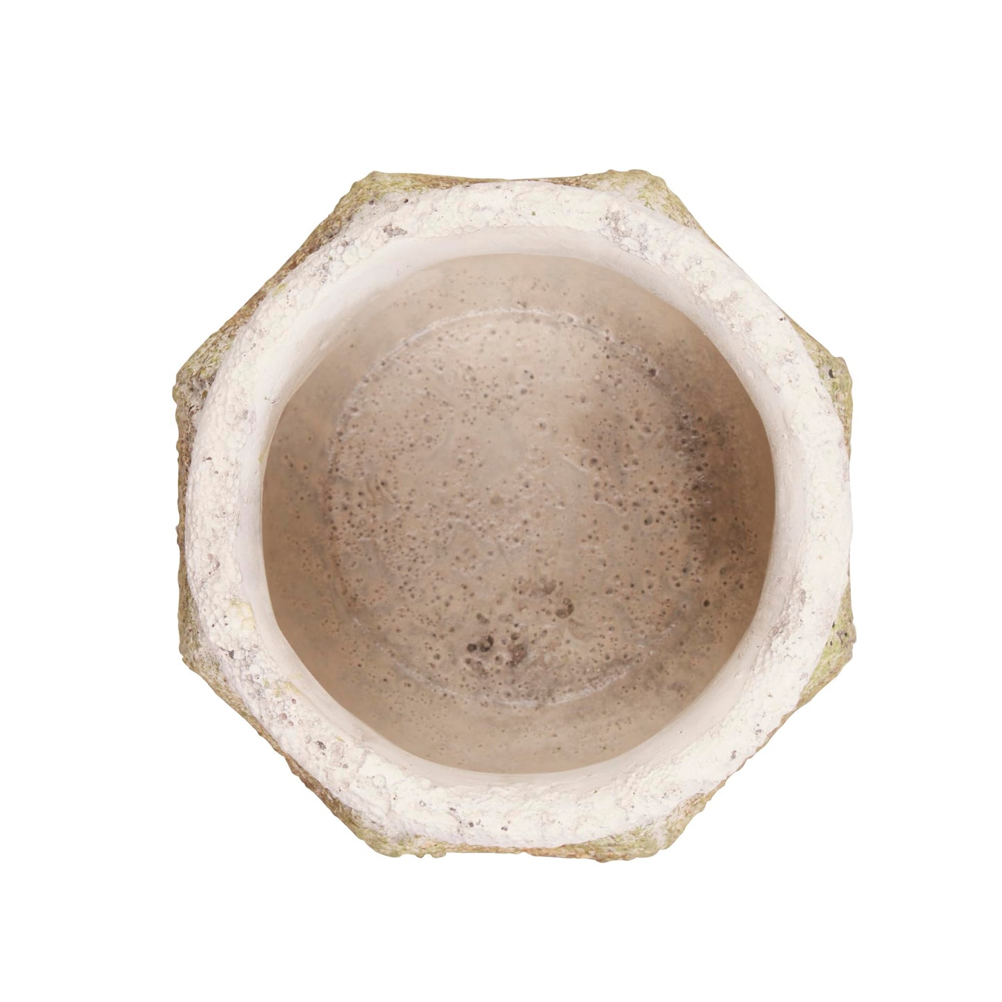 Ancient Leaf Cement Flower Pot (Set of 2)