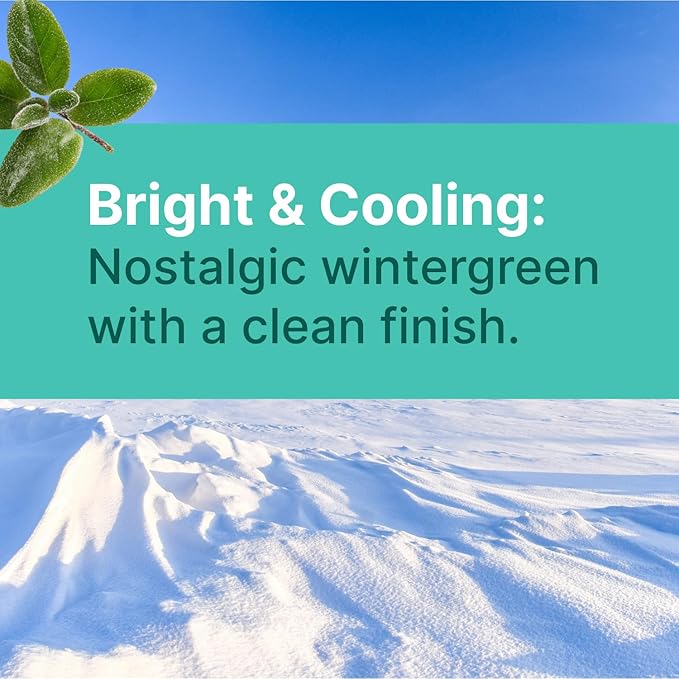 Wintergreen KETO Xylitol Candy Chips - SNØ 1.5oz Tin - Sugar-Free Candy With Only 2 Ingredients | Low Carbs, Diabetic-Friendly, Non-GMO, Vegan, GF & Kosher | Purest candy in the world!