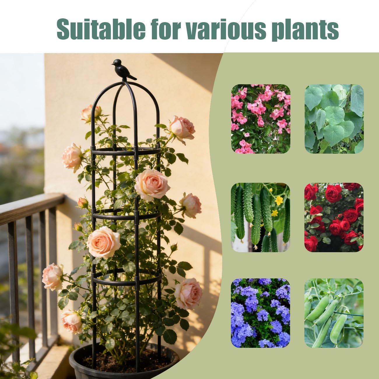 Garden Trellis, 63" Plant Support with Bird Decoration, Plant Trellis for Climbing Vines,Black Decorative Garden Cage for Climbing Roses, Clematis, Vegetables in Patio & Yard-1PACK