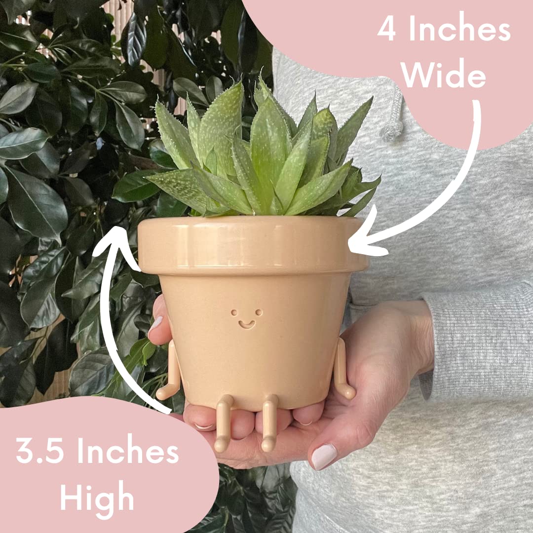 Cute Indoor Plant Pots Set of 3, Unique Plastic Succulent Pots for Plant Lovers (Plants NOT Included)