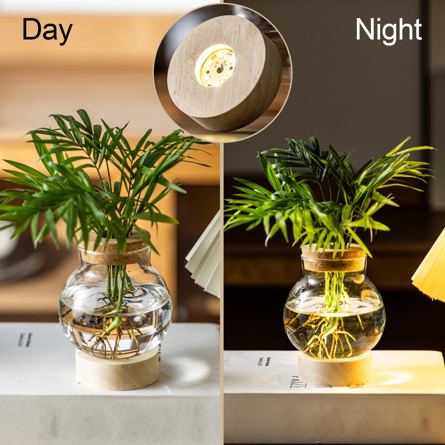 Propagation Stations, Plant Propagation Station with Light Base, Glass Propagation Vases, Hydroponic Vase for Plants, Glass Terrarium for Home Office Windowsill Tabletop Decoration (5)
