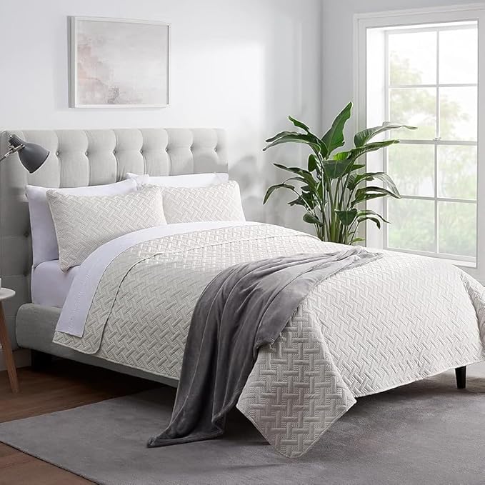 SERTA Cozy Plush Thick Fuzzy Super Soft Lightweight Throw Blanket for Bed, Couch, or Travel, Twin (60 in x 80 in), Grey