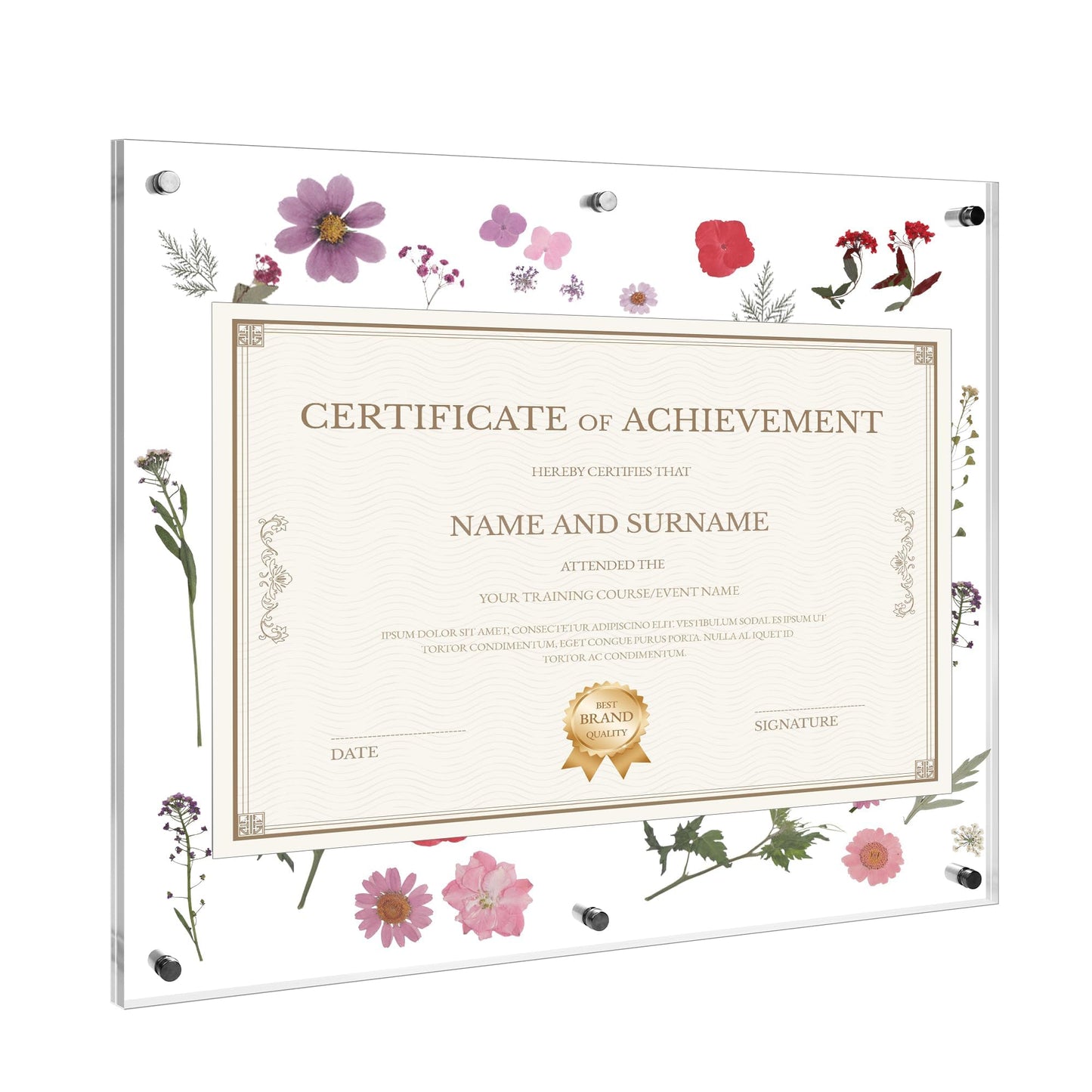 Aneco Graduation Diploma Frame 16x20 Inches Self Adhesive Acrylic Certificate Frame with Dried Pressed Flowers No Drill Clear Wall Photo Frames for Degree Poster Poster Artworks DIY Craft