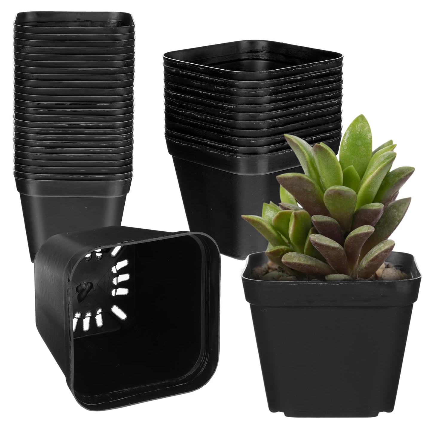Ubamdom 36 Pcs Nursery Pots 4 Inch, Plastic Seed Starting Pot with Drainage Holes, Sturdy Seedling pots for Planting, Succulents, Transplanting, Cuttings (Black)
