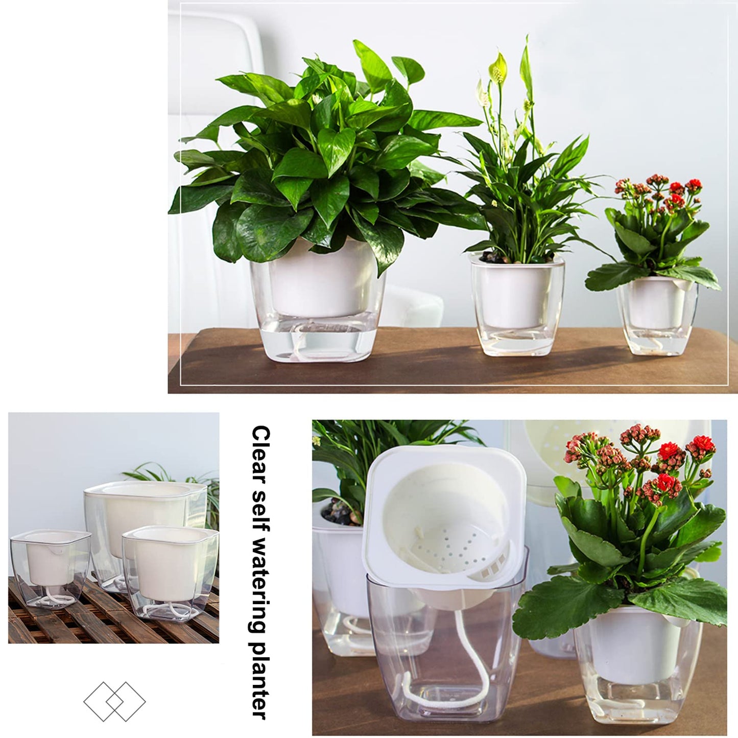 Sungmor Clear Self Watering Planter for Indoor Plants, 3 Pack 6.9 Inch Plastic Violet Flower Pots, Square Watering Plant Pot for House Plants,Orchid,Succulents, Herbs