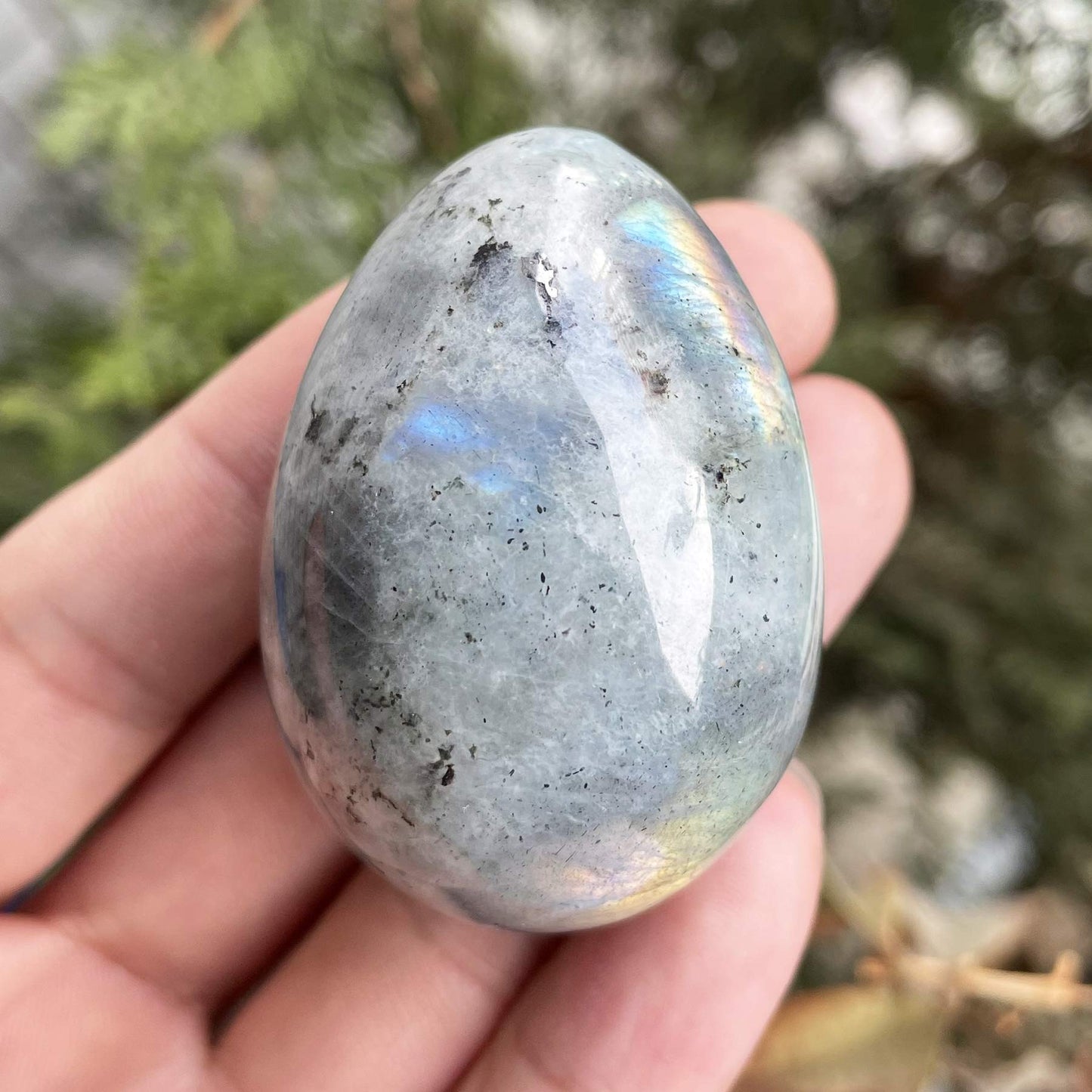 favoramulet Polished Stone Egg for Easter Day, Palm/Pocket/Worry Enegry Healing Crystal Display Sphere Figurine Fengshui, Moonstone 1.8" x 1.3"