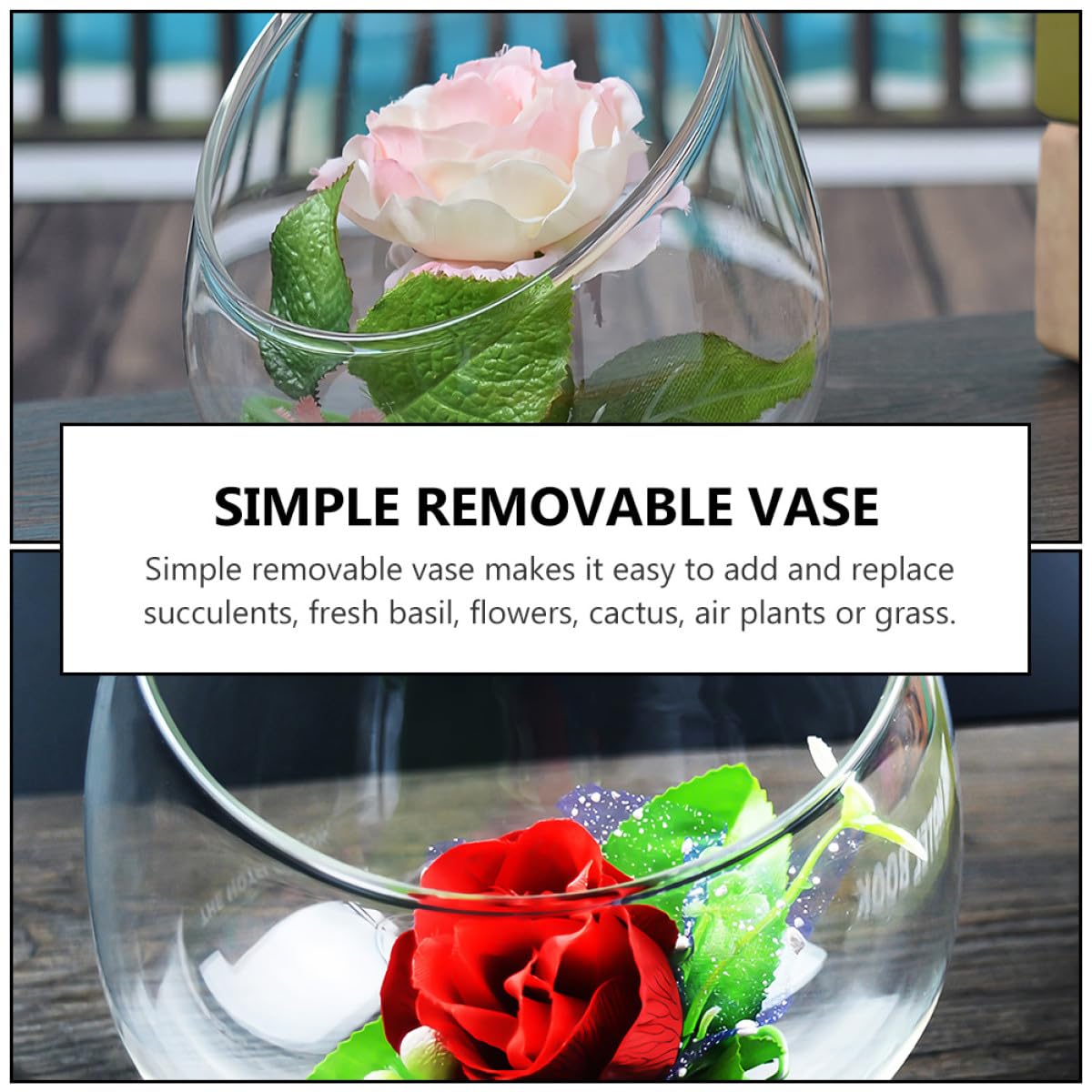 VINTORKY 3pcs Glass Terrarium Plant Display Bottle Succulent Vase for Home Decor Creative Eco-Friendly Micro Landscape Container for Plants and Decorative Accents