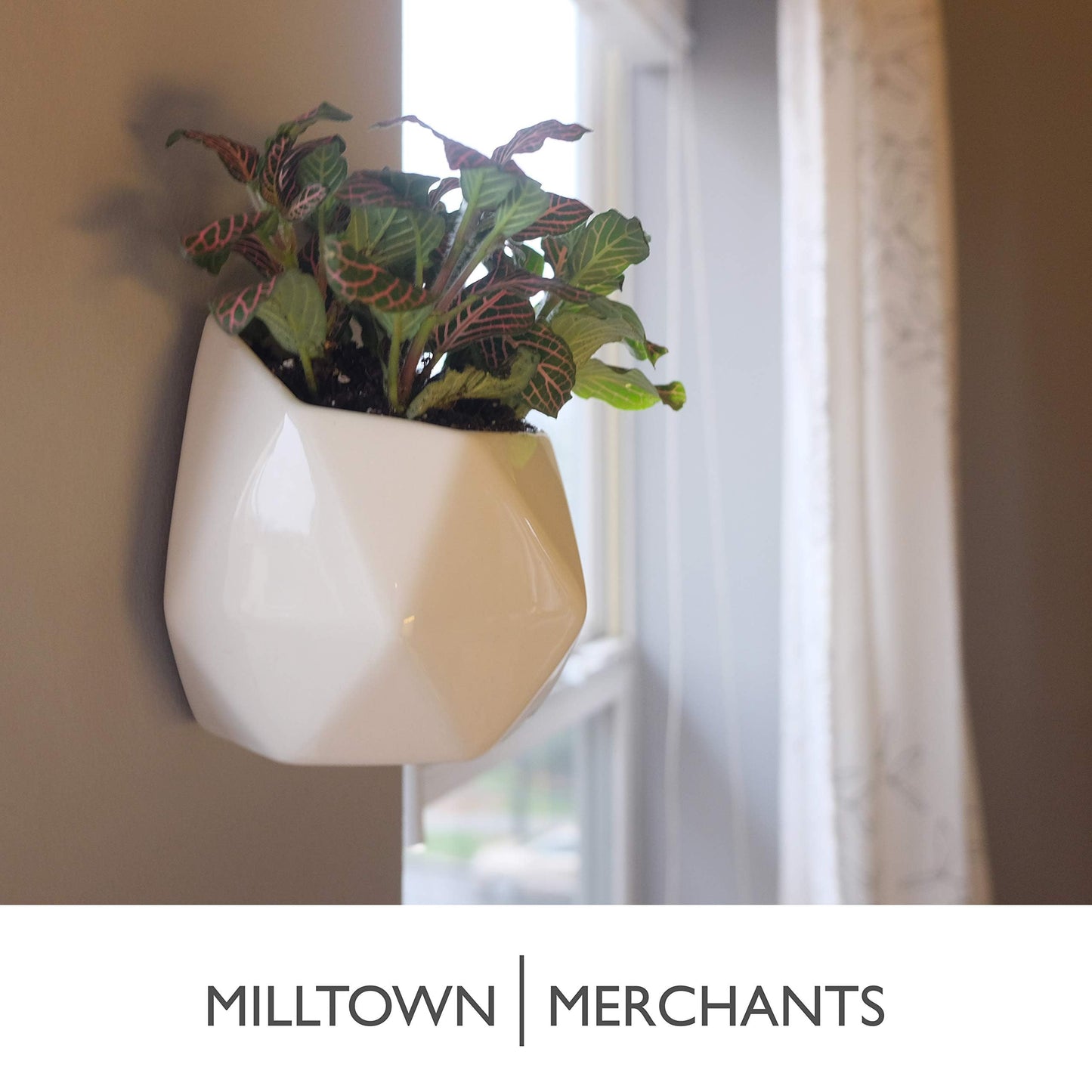 Milltown Merchants Succulent Wall Planters - Wall Vases - Black Ceramic Wall Mounted Planters - Succulent Plant Pots - Hanging Vases for Living Wall (2 Pack/Geometric/White)