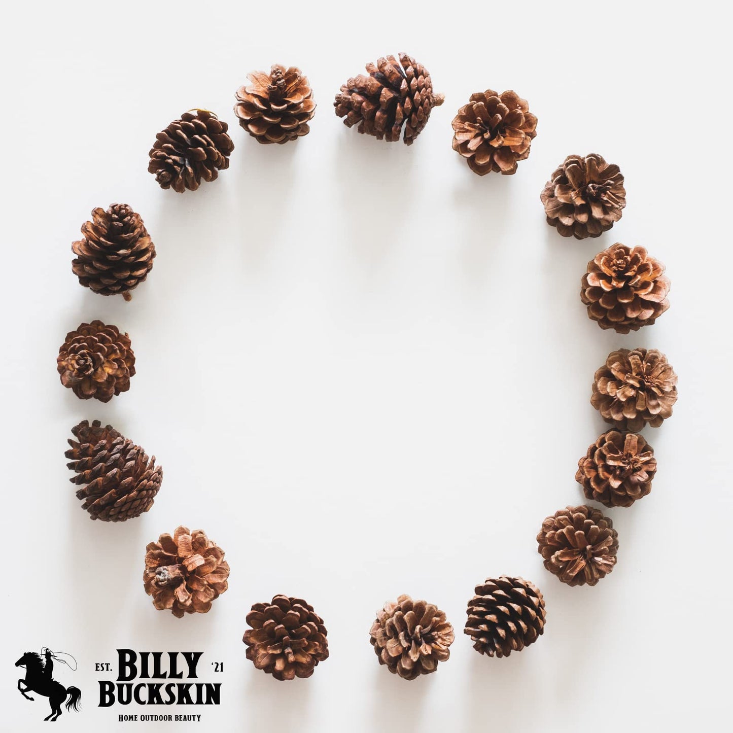 20 Large Natural Pine Cones for Crafts, 3" to 4" Tall Pine Cones Craft for Table, Home Decor, Vase Fillers, Desk & Christmas Trees, Unscented Pinecones Crafts Ornament for Decorating by Billy Buckskin