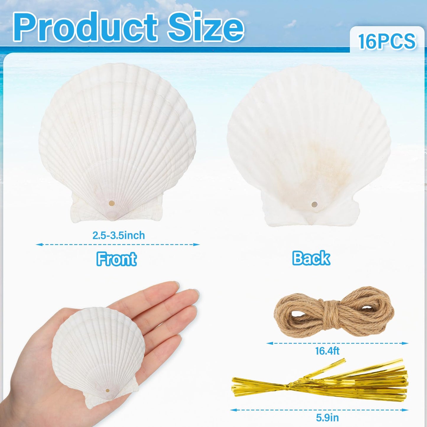 16PCS Natural Sea Shells 2.5"-3.5" Perforation Scallop Shells with Rope,for Christmas Tree Ornaments & DIY Hanging Home Deocration Craft Shells