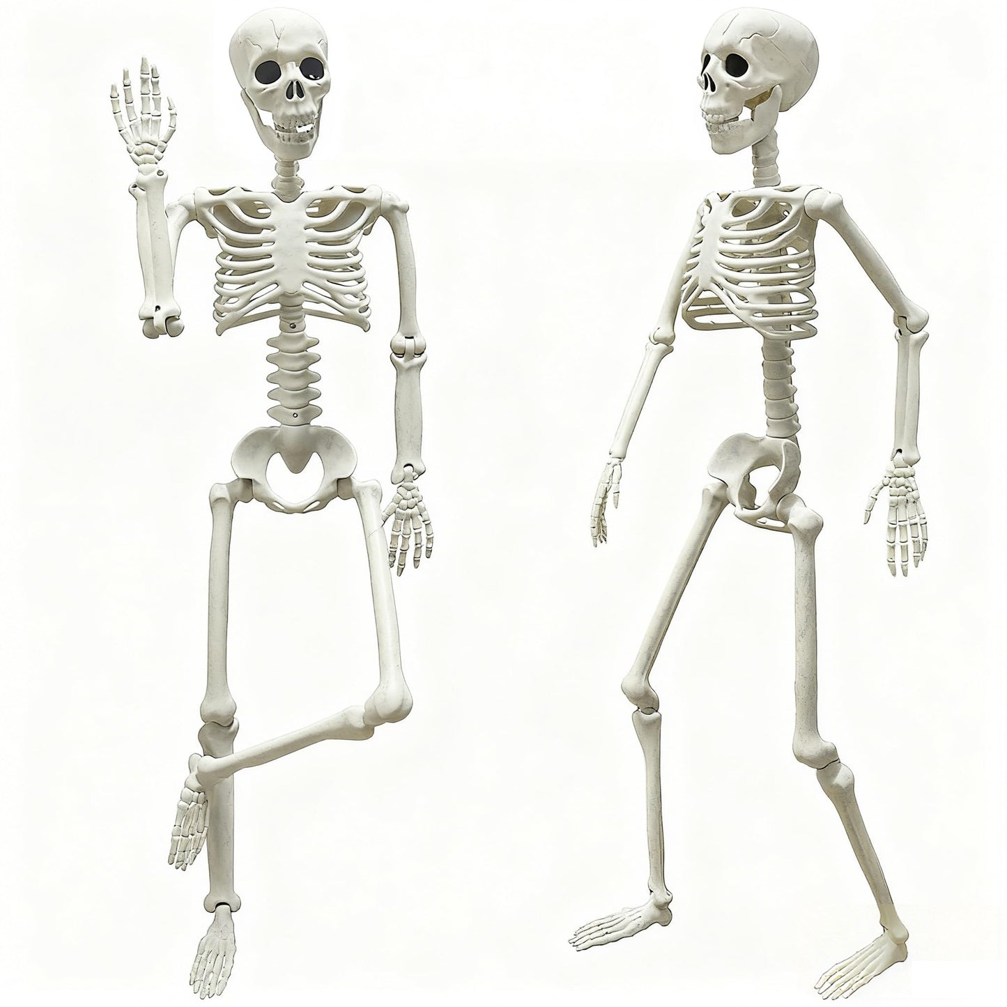 LUKBERA 2 Pack 3 ft Halloween Skeleton Posable, 36” Full Body Human Skeleton with Movable Joints for Halloween Haunted House Graveyard Party Scary Indoor Outdoor Decor