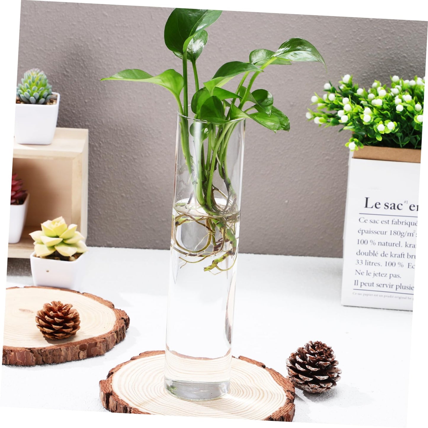 iplusmile 2pcs Hanging Wall Planters Glass Vases for Indoor Plants Cylindrical Propagation Stations Clear Terrarium Holders Home Office Decor