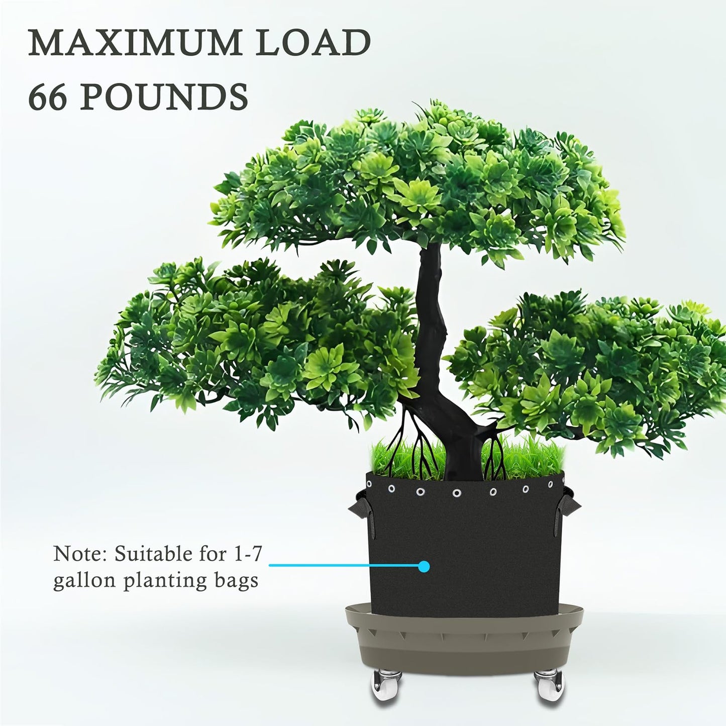 Molgoc Self-Watering Base with Visible Water Level,5-Pack,Keeps Leaves and Flying Insects Out,Maintains Water Quality, Equipped with Rollers for Easy Movement and Rotation, Brown.