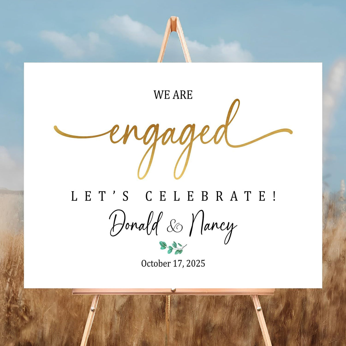 We Are Engaged Sign - Celebrate Engagement Welcome Sign, Decorations for Party