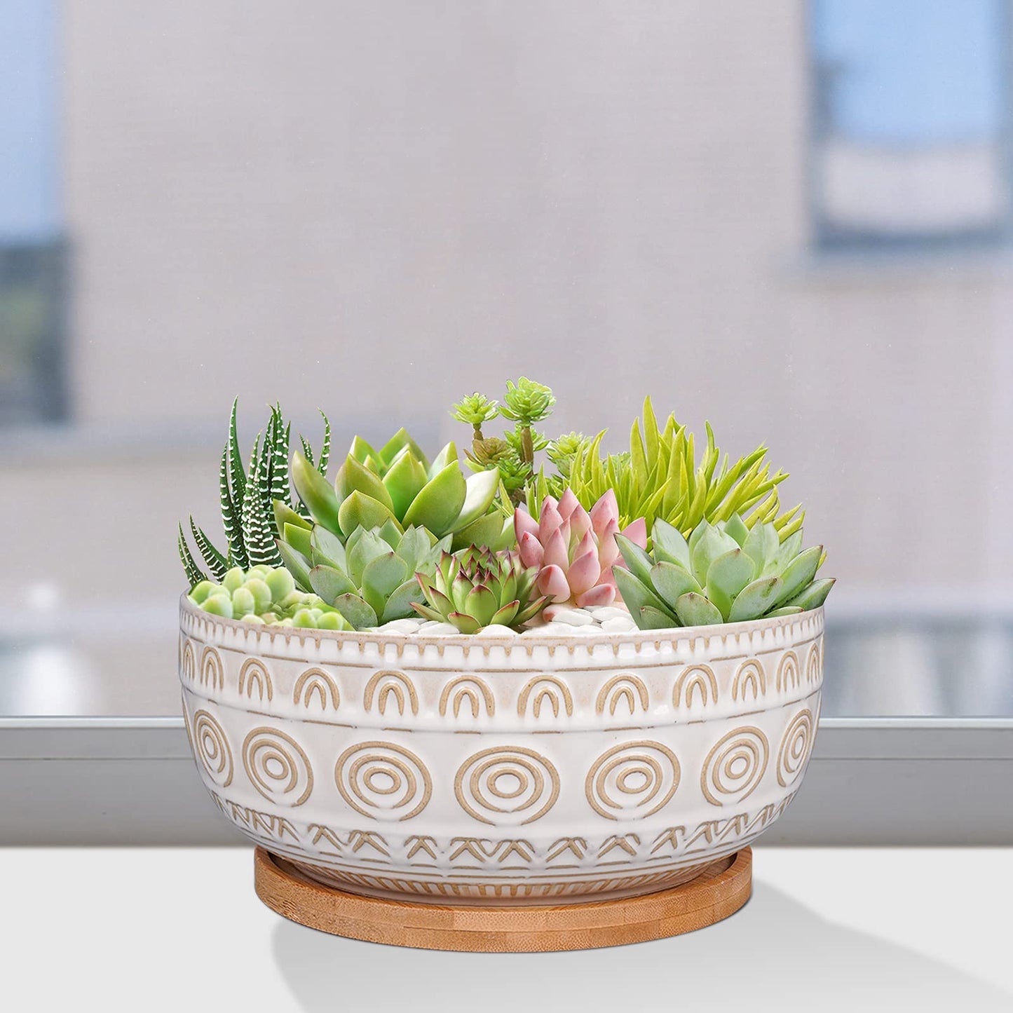 Eightpot 8 Inch Ceramic Succulent Planter Pot with Drainage Hole and Saucer Round Shallow Planter for Indoor Plants, White