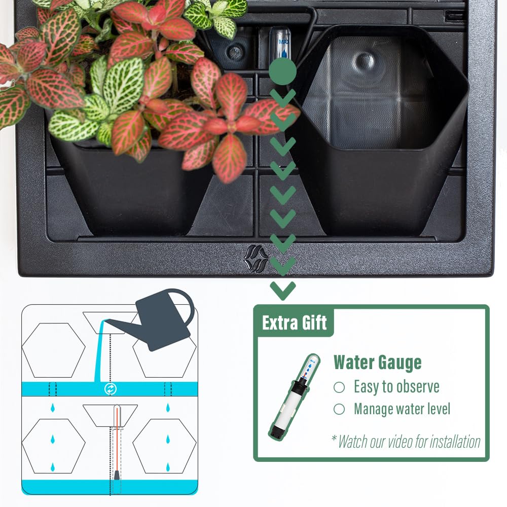 Inspiration Jungle Self Watering Wall Planter with 4 Pots - Easy to Create Indoor Living Wall for Home, Office and Shop Front - Includes Water Gauge (Black)