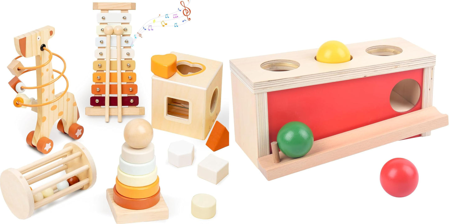 Smartwo Wooden Montessori Toys Set for Toddlers & Object Permanence Box for Baby