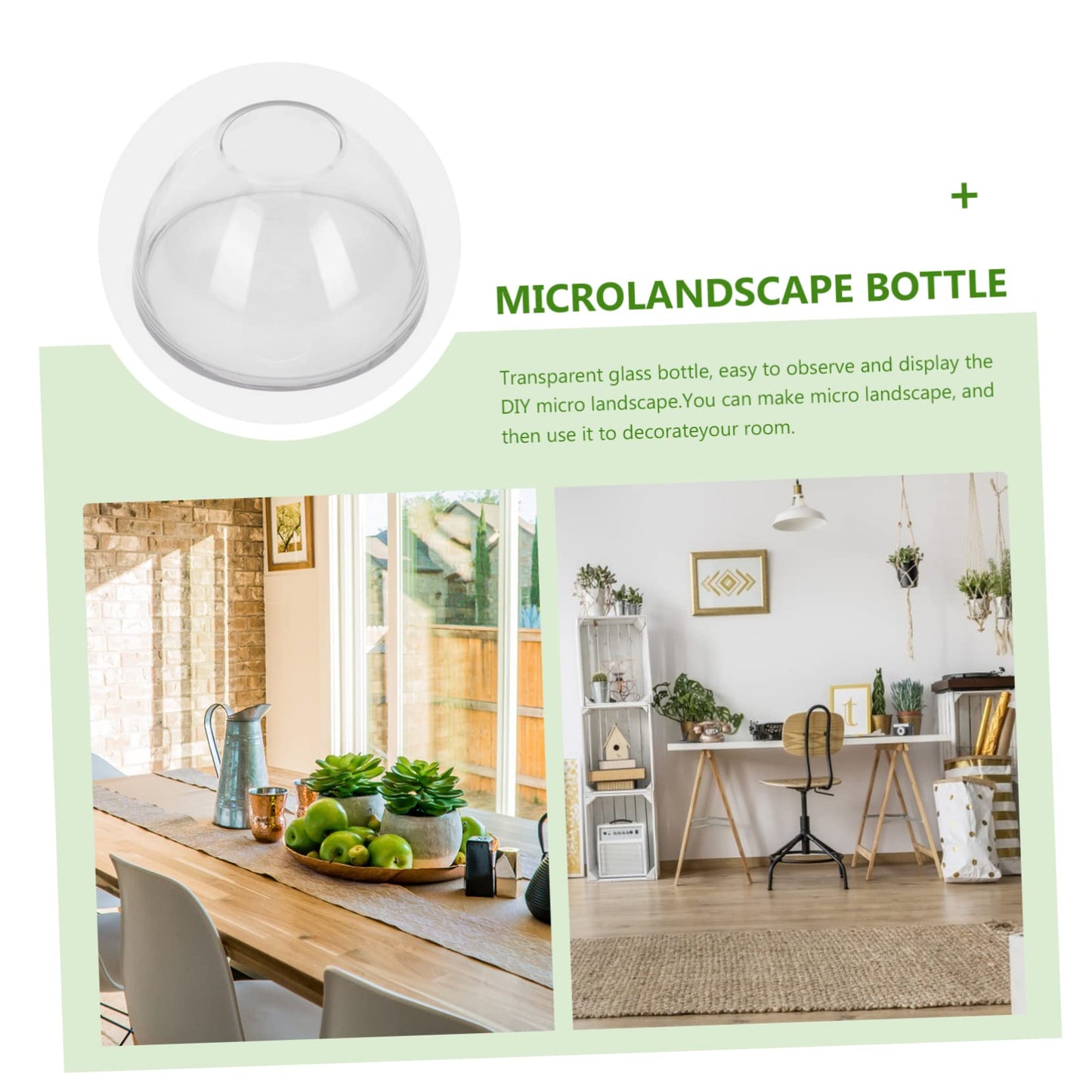 Abaodam Terrarium Jar DIY Micro Landscape Bottle Plant Watering Globes Glass Plant Terrarium for Home Decor