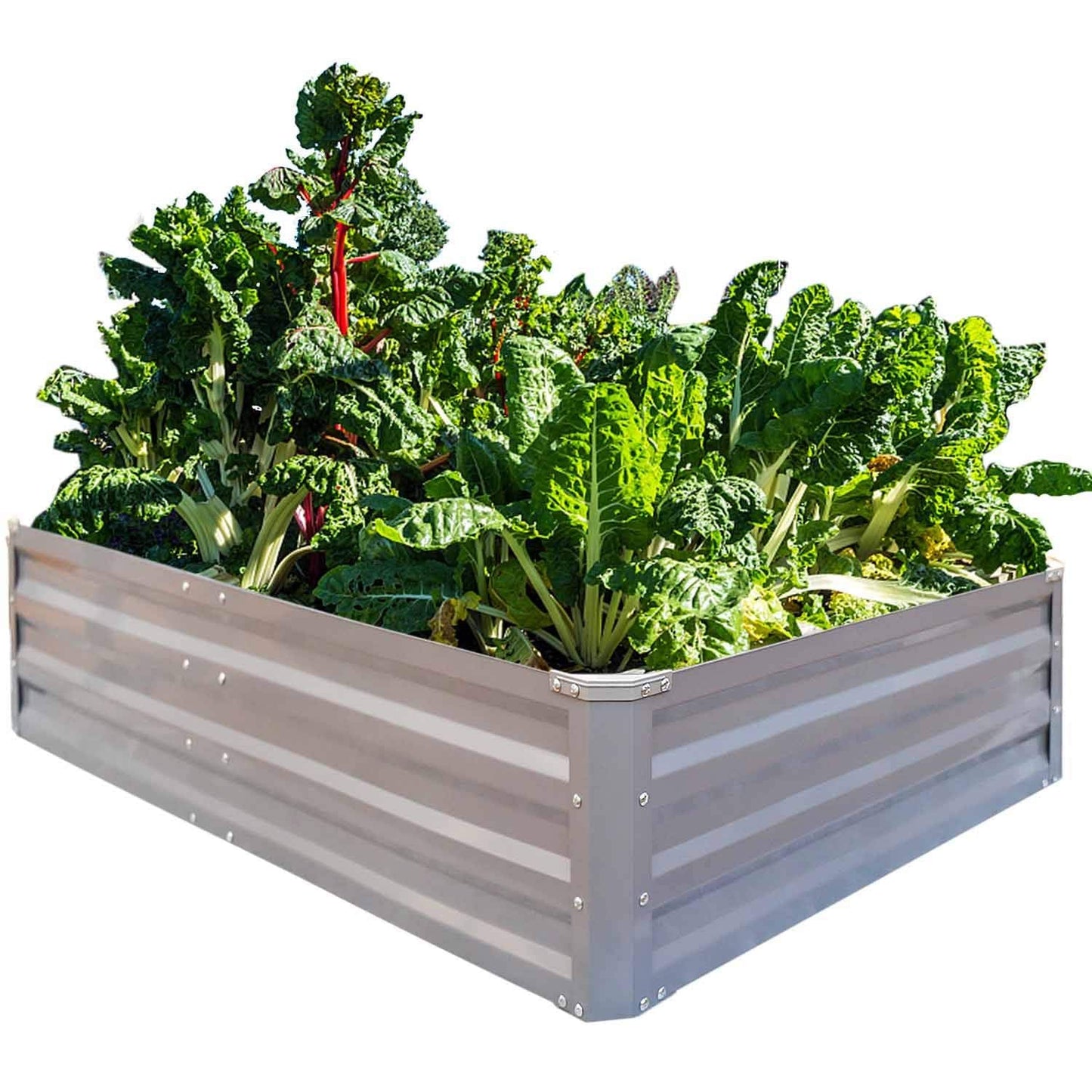 FOYUEE Galvanized Raised Garden Beds for Vegetables Metal Planter Boxes Outdoor Large Patio Bed Kit Planting Herb 5x3x1ft