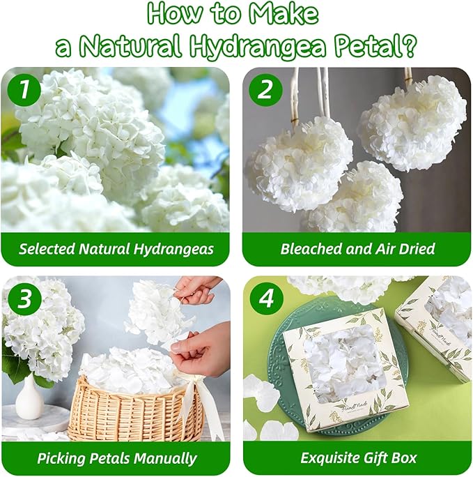 1250+ Real Dried Lvory White Hydrangea Petals - 0.88 oz Preserved Natural Flower Petals for Wedding Decor, Party Confetti, Dinner Table Centerpieces, Handcrafts