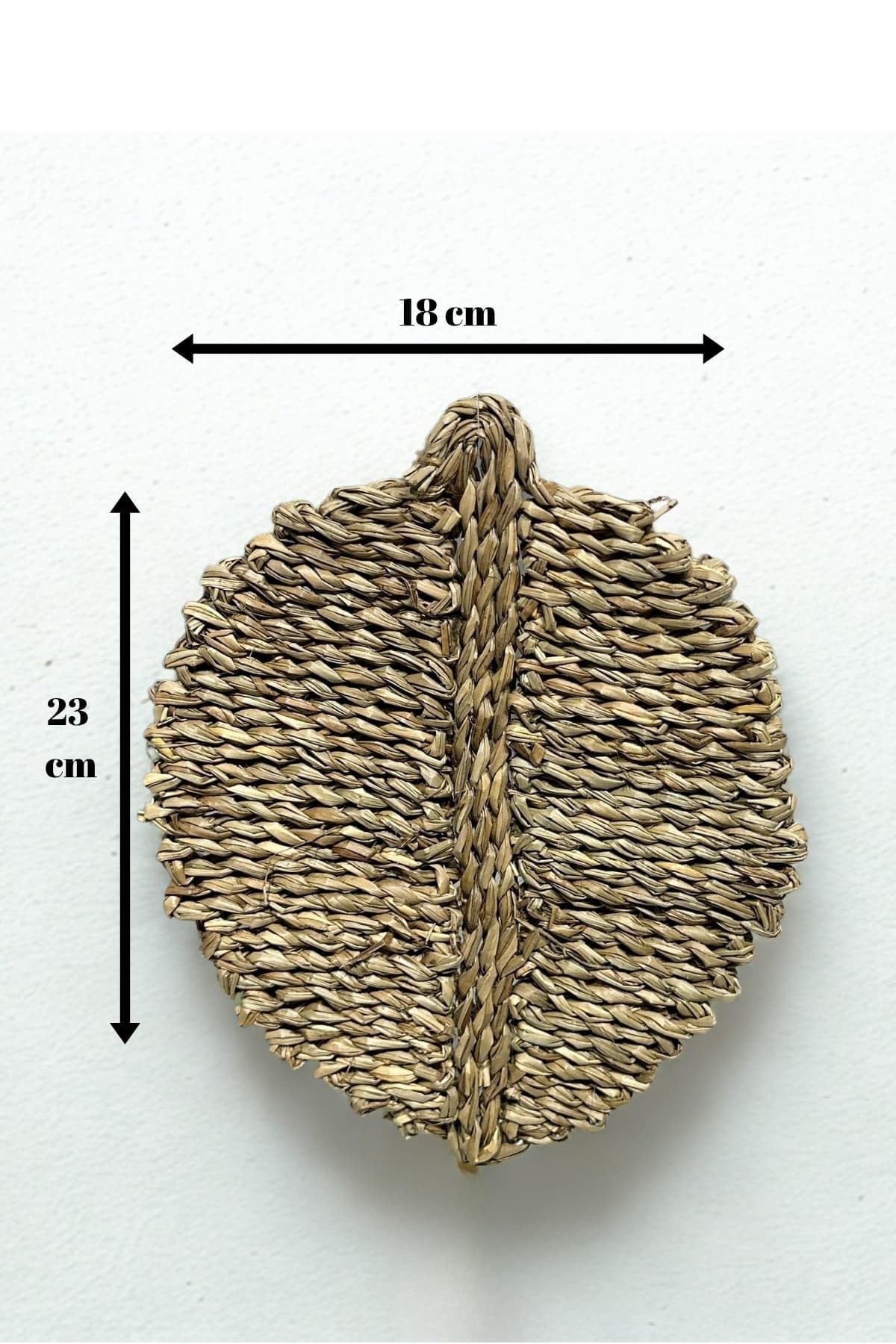 SODEF Handmade Reed Leaf Wall Decor - Bohemian Style Wall Hanging Ornament - Small Size 23 x 18 cm - Beige, 9x7 inch