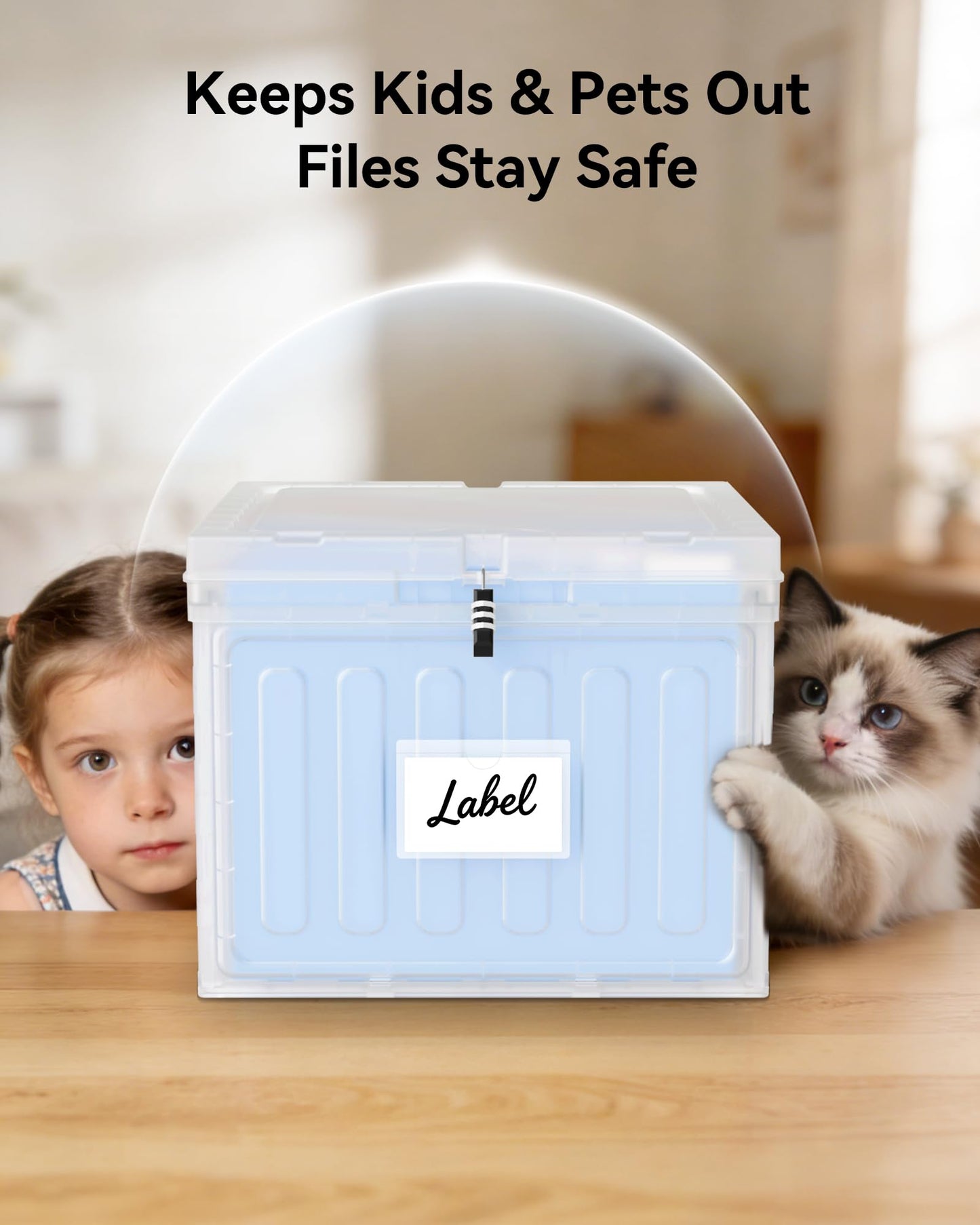 Oterri Plastic File Box with Lid for Letter Size Hanging File Folders, Hanging File Folder Box for Home, Office, School, File Cabinet, Assembly File Organizer, Clear，Large-1 Pack Without Folders