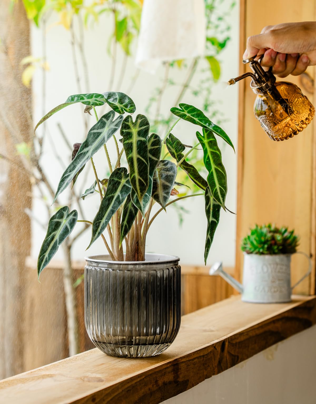 Melphoe Self Watering Pots for Indoor Plants Planter, 6.5/5.3 Inch 2 Pack Planters Self Watering Plant Pots for Flower, Houseplants, Succulent, African Violets and Cactus with Drainage