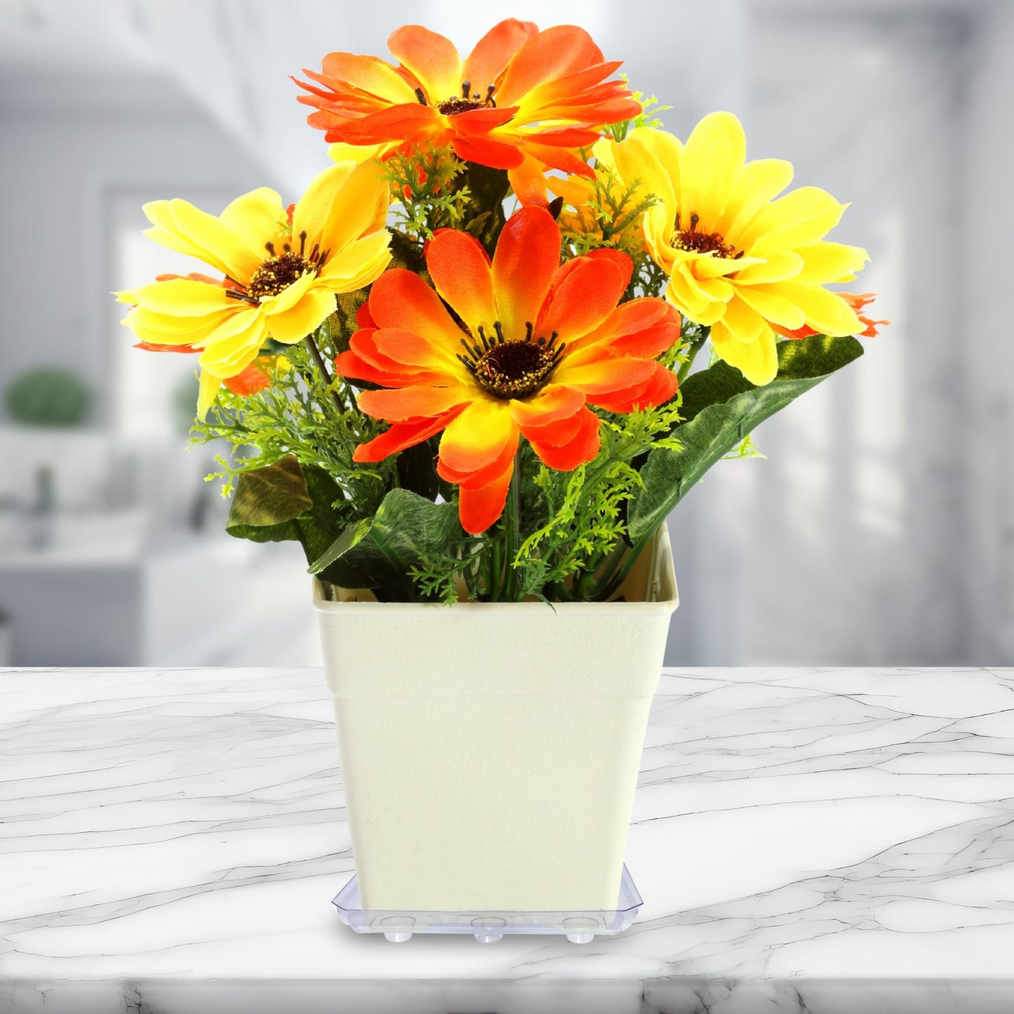 Curtis Wagner Plastics Designer Series Plant Saucer (5-Pack) - Clear, Square (Diameter: 5.75" Base, 8" Top, 1.62" Depth) Thick Plastic Plant Drip Trays - Used as Indoor Pot/Outdoor Plant Saucers