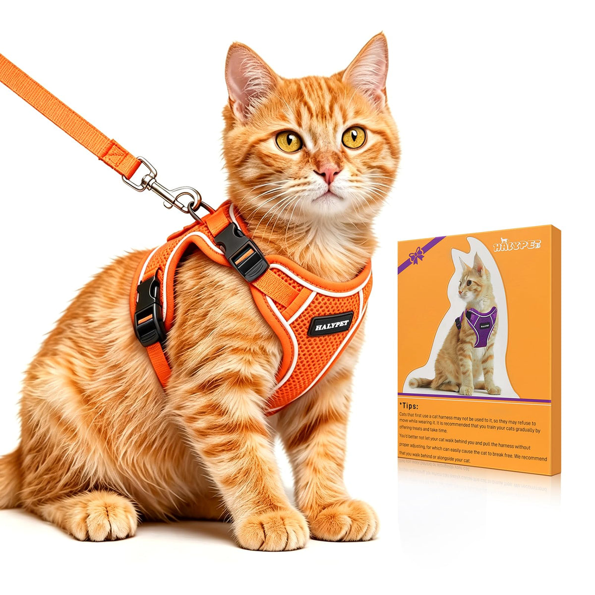 Cat Harness and Leash Set,Escape Proof Kitten Harness,Orange