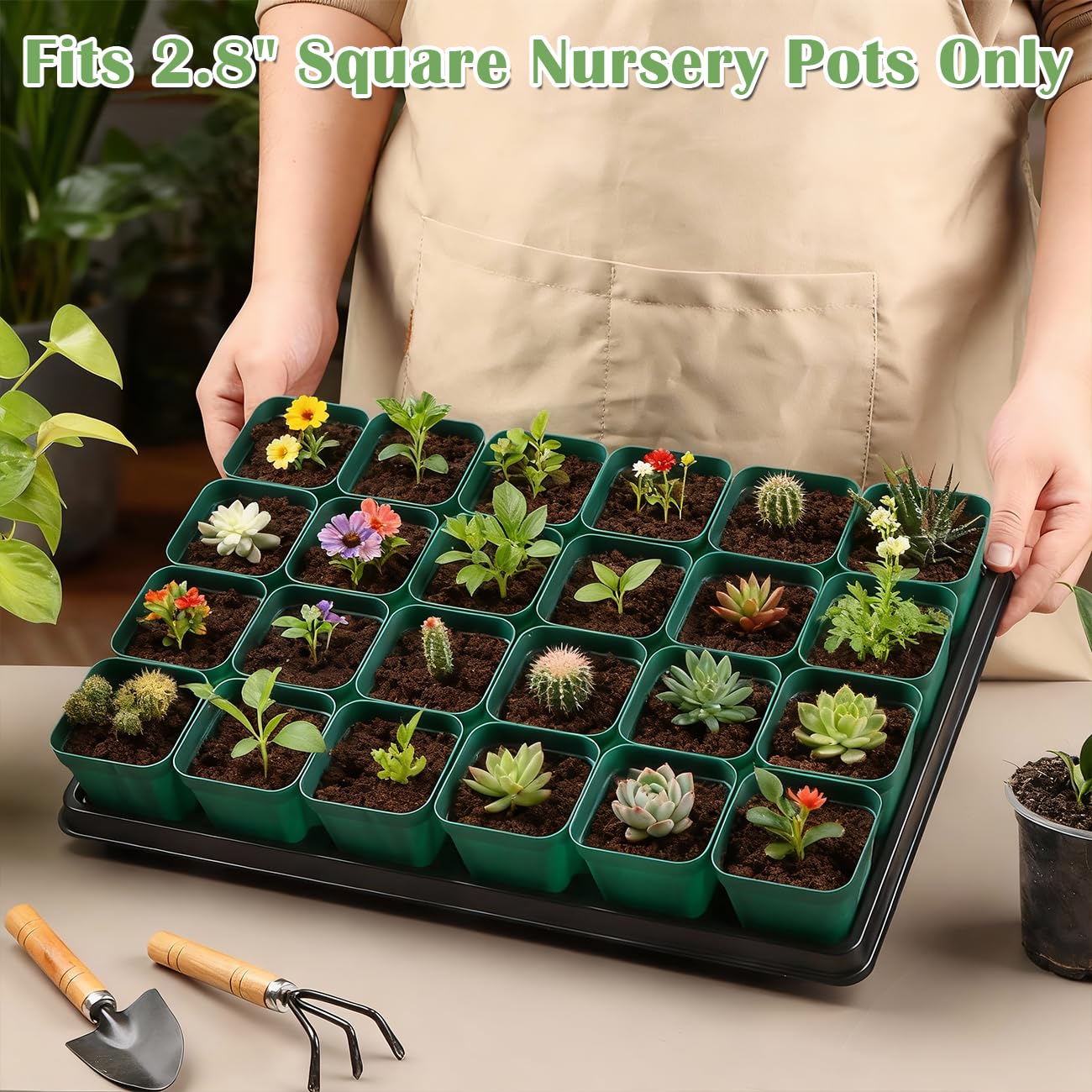 RooTrimmer 2.8 inch (7CM) Square Nursery Pots 120pcs (Green) and 24 Cell Nursery Pots Trays 5 Pack, Plastic Seedling Starter Tray with Drain Holes for Carrying and Holding Plant Pot(17"x11"x1.6")