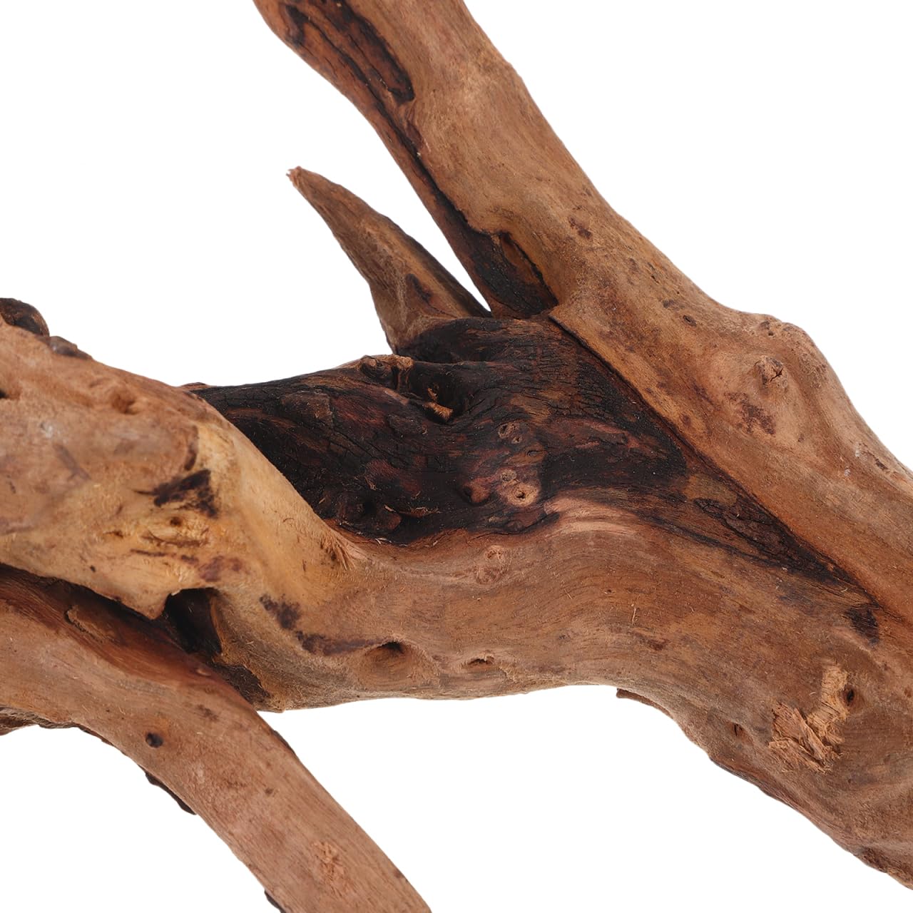 POPETPOP Natural Driftwood for Aquarium Decor - 9.8×5.9" Unique Wood Branch Fish Tank Decorations & Reptile Tank Accessories, Drift Wood Log for Leopard Gecko Terrarium Accessories