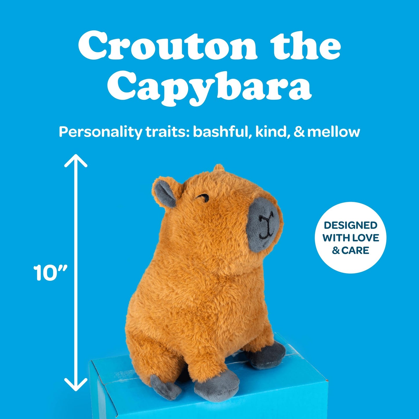 SendAFriend Crouton The Capybara Stuffed Animal Care Package, Someone Loves You Box, Great Gift for Any Reason (Love You Notecard)