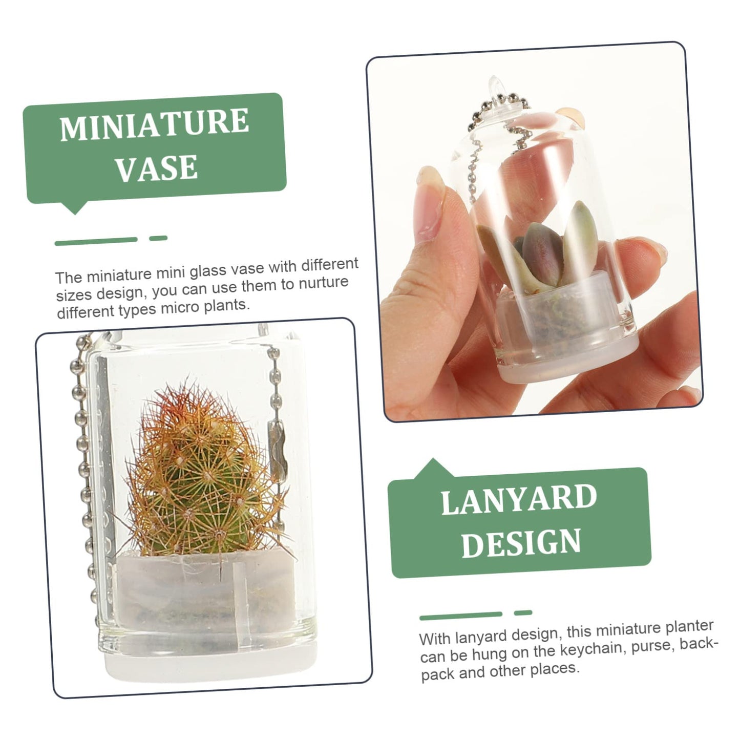 POPETPOP 6pcs Miniature Glass Container Keychain Artistic Hanging Terrarium for Air Plants Succulents Decorative Pendant