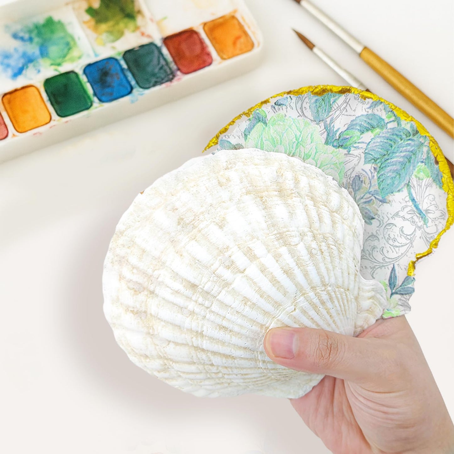 YOUKE OLA 60PCS Scallop Shells for Crafts Large Beach Natural Shells Bulk for Decoupage DIY Crafts Seashell Decorations Home Decor White 4''-4.5''