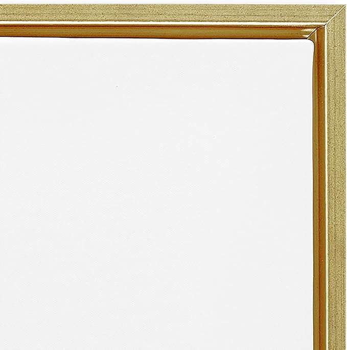 Stupell Industries Abstract Mindfulness Exercise Framed Floater Canvas Wall Art Design by Tim Parker, Gold Floater Frame, 31 x 25