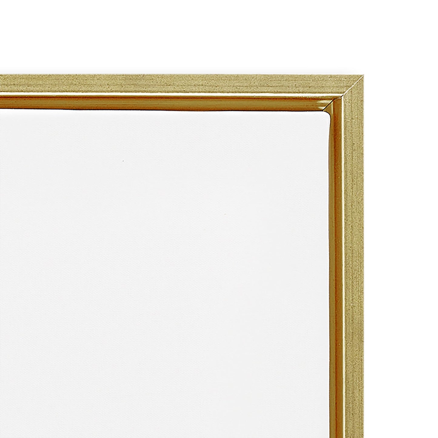 Stupell Industries 'Glam Pattern Toilet Paper', Floating Frame Canvas Art, Gold, 17 x 21 Inches, Easy to Hang and Sturdy, Made in USA, by Ziwei Li
