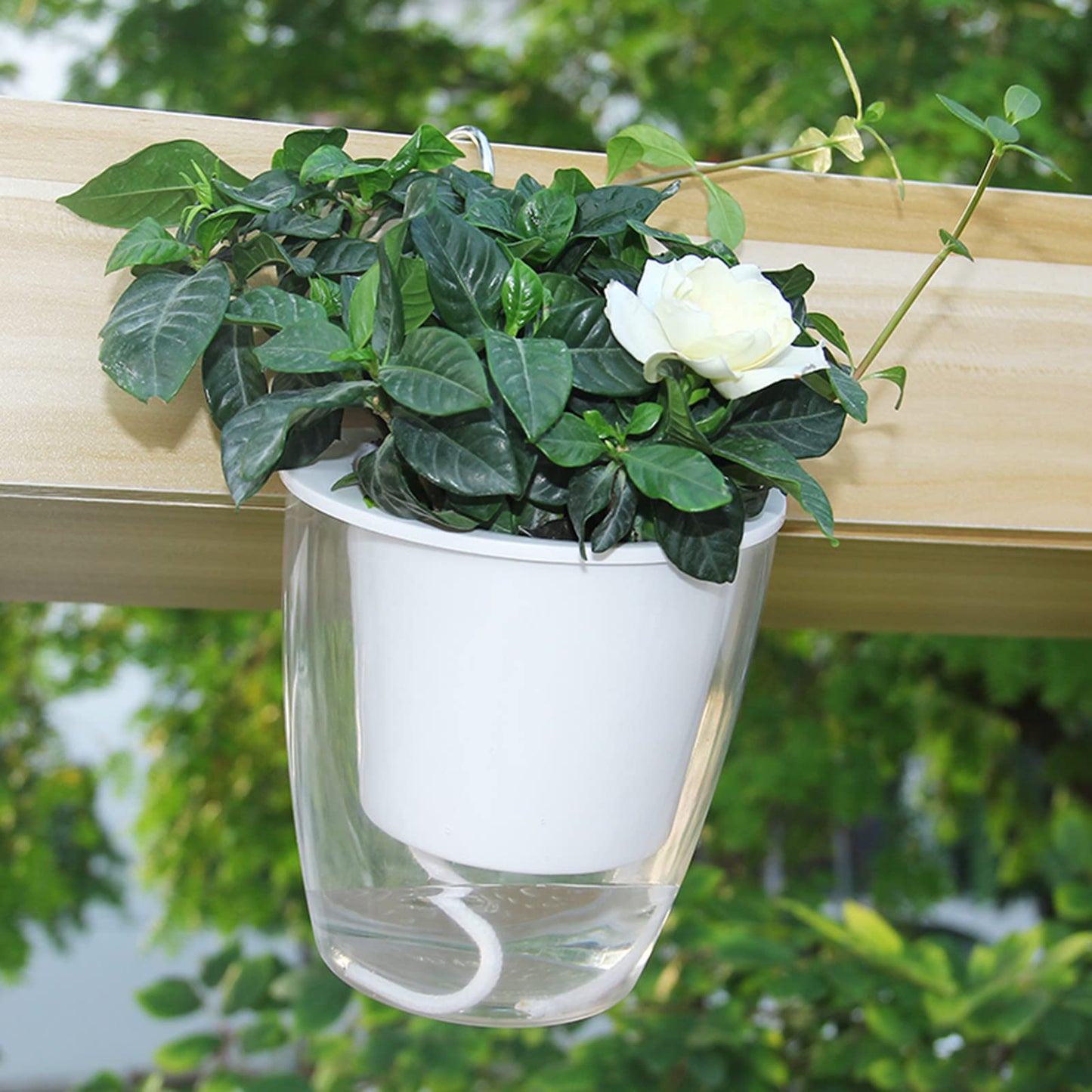 ZOOFOX 4 Pack Self Watering Pots for Indoor Plants, 7 Inch Large Clear Plastic Automatic-Watering Plant Pot, Modern Decorative Pot for Indoor Plants, Flowers, Herb, Aloe, Orchid, African Violets