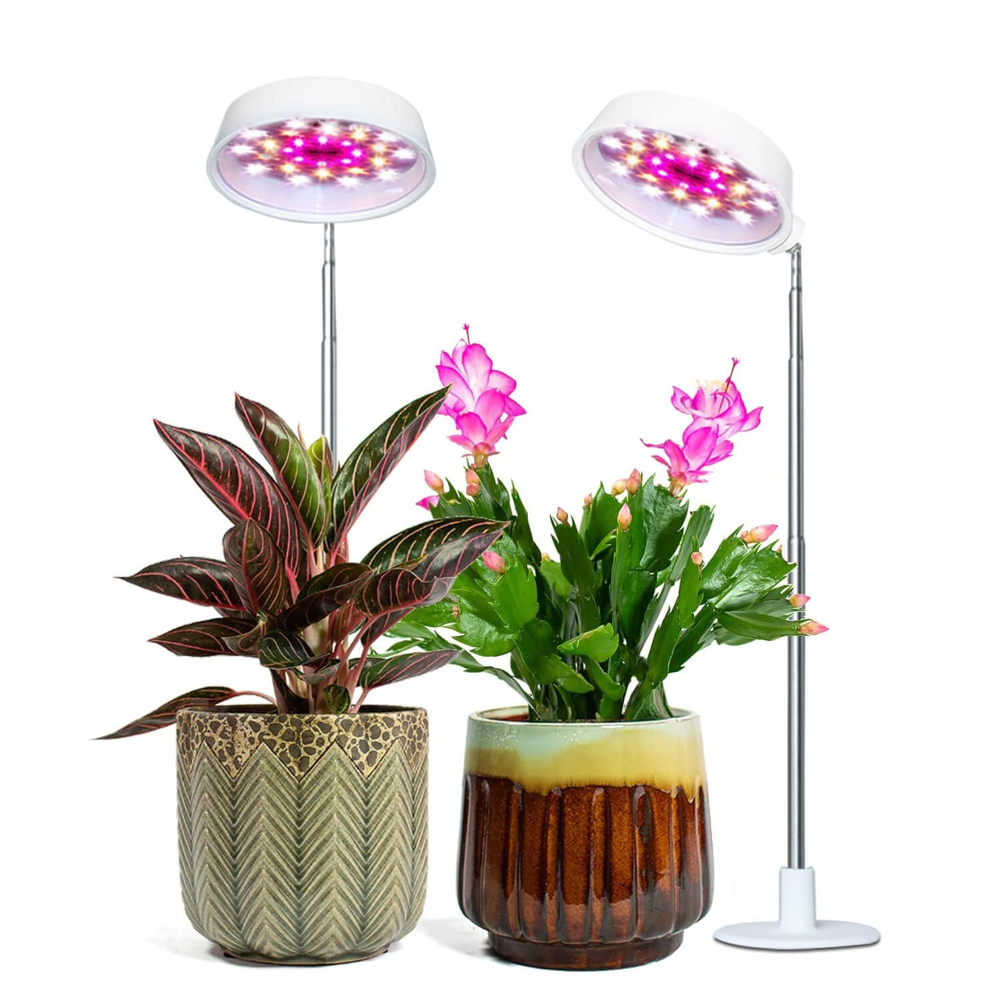 Abonnyc Grow Light Plant Growing Lamp Full Spectrum with White Red LEDs for Indoor Plants, Height Adjustable 7-22 Inch,Auto On Off Timing Idea for Small Plant Light,Seedlings, Plant Shelf