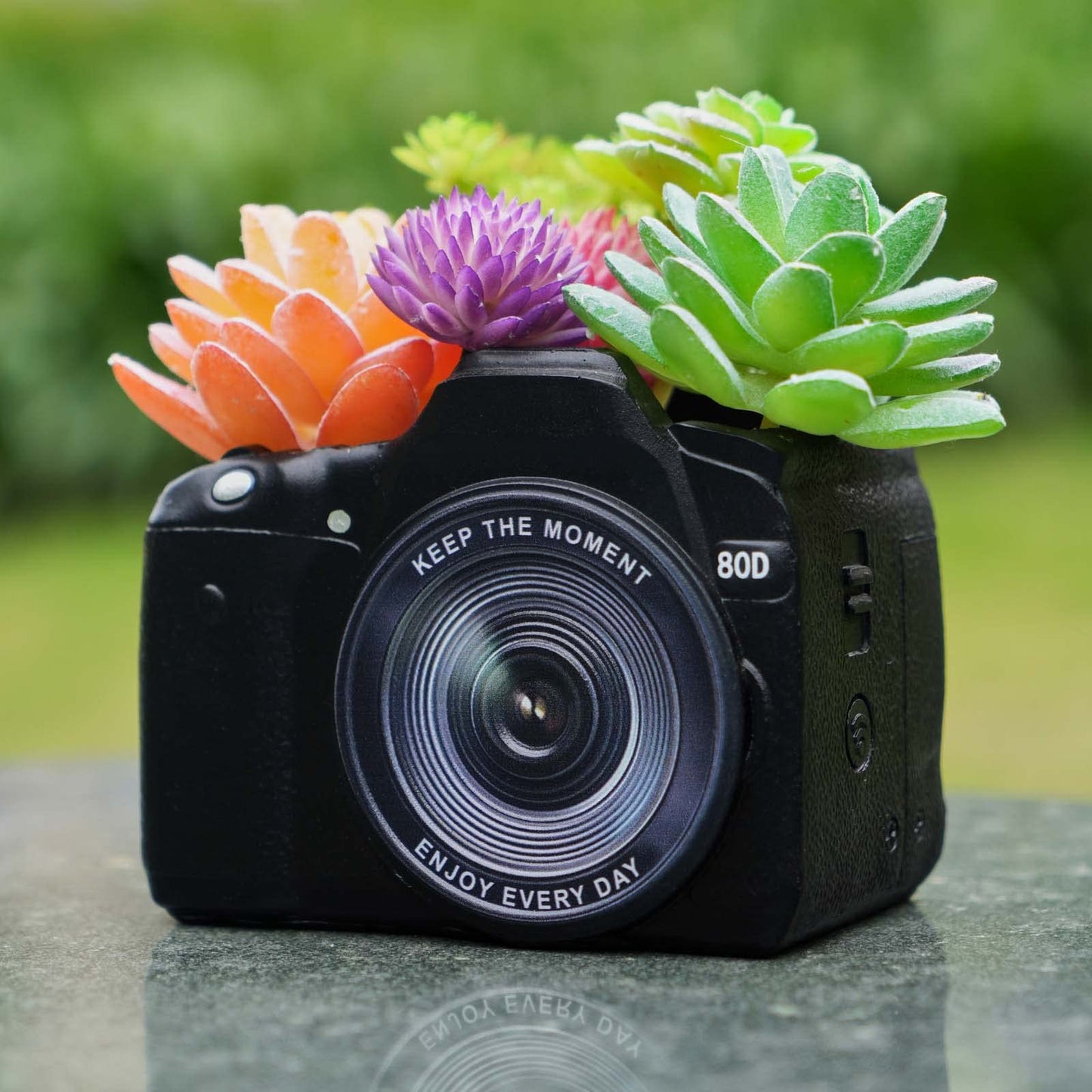 KIKTOP Camera Decorative Planter Plant Gift+Skull Planter Black Room Decor Head Planter
