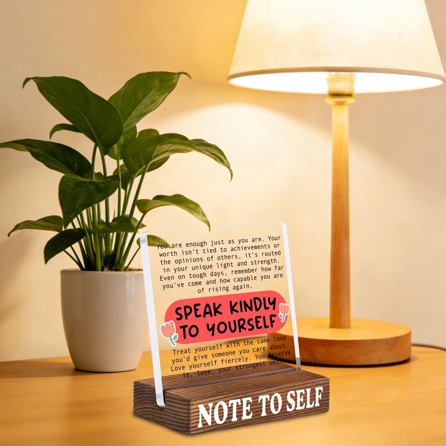 Inspirational Desk Decor with Positive Reminder, Speak Kindly to Yourself Acrylic Sign with Rustic Wood Base, Encouragement Gift for Home Office Coworker Friend SNOTE9