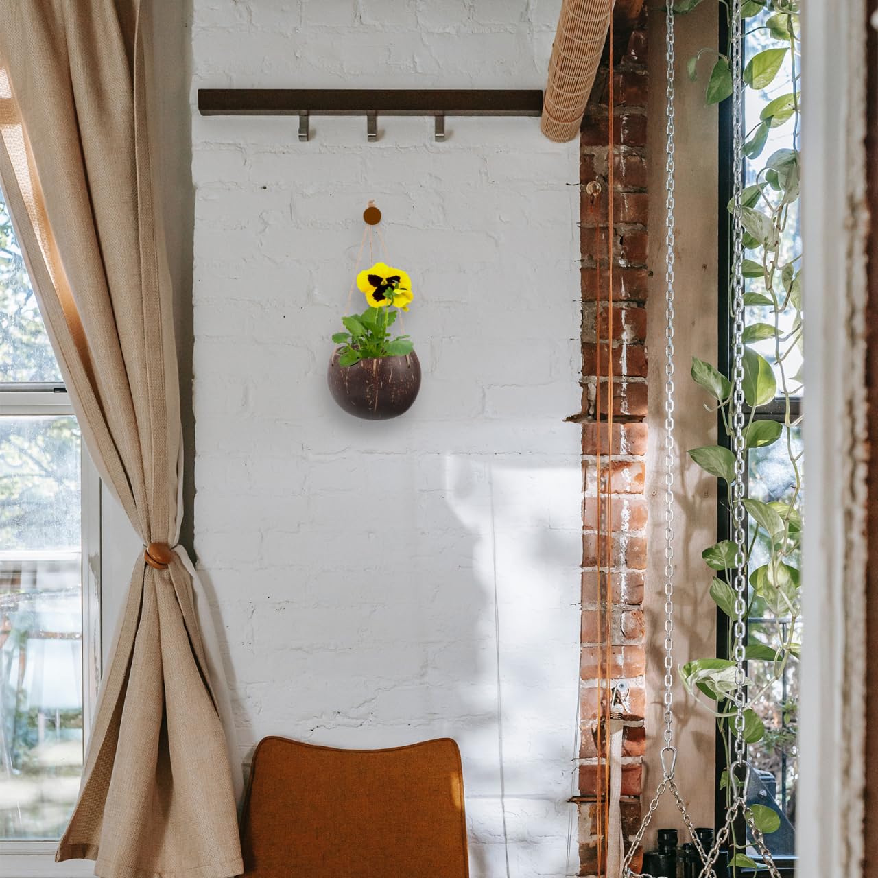 GANAZONO Coconut Shell Hanging Planter with Rope - Natural Indoor & Outdoor Hanging Pot for Orchids and Small Plants Eco-Friendly Round Coconut Planters for Home and Balcony Decor