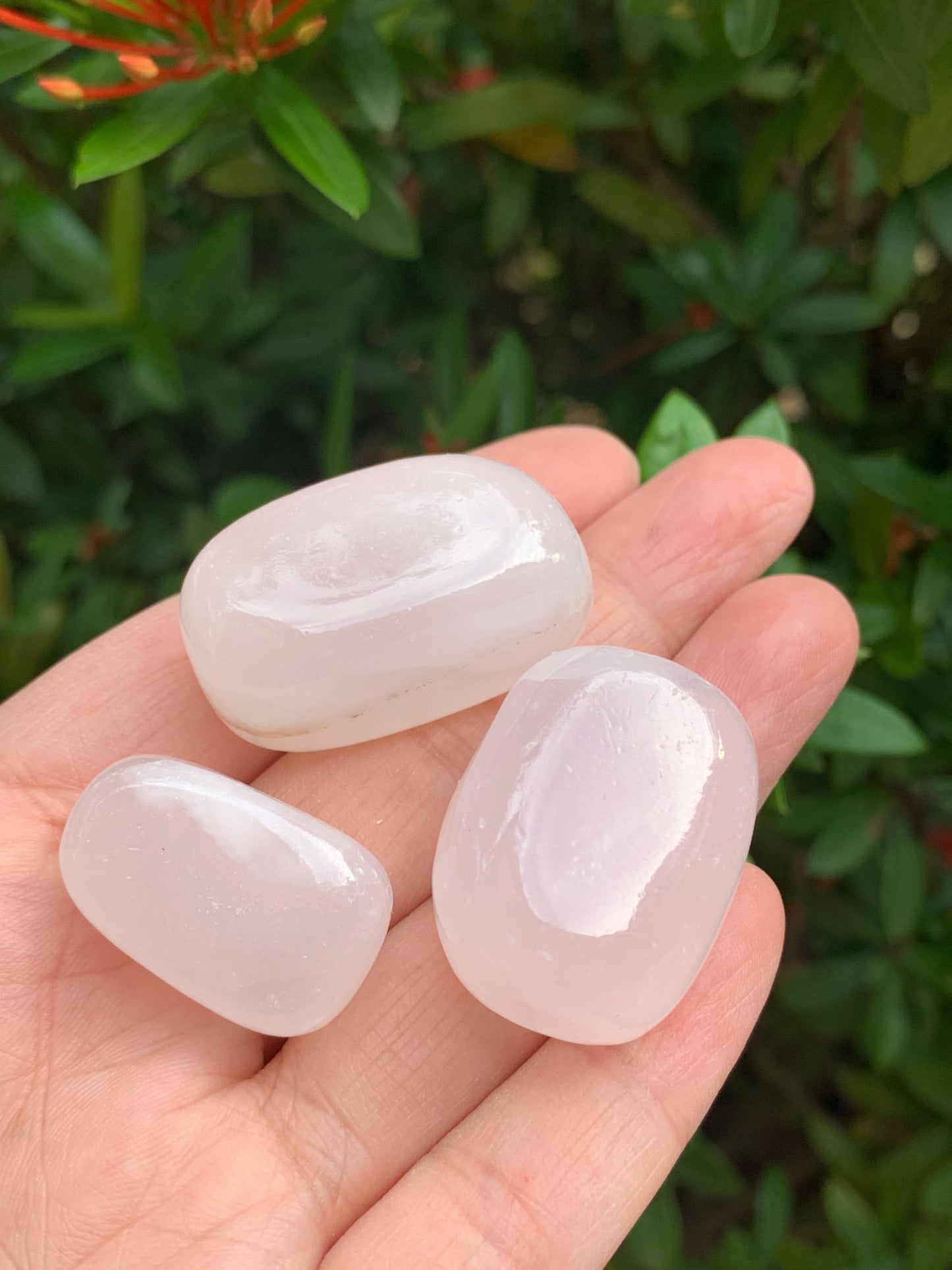 GAF TREASURES 5 Pcs Pink Calcite Tumbled Stones, Polished Natural Pink Calcite Gemstone, Pink Calcite Healing Crystals (Pink Calcite)